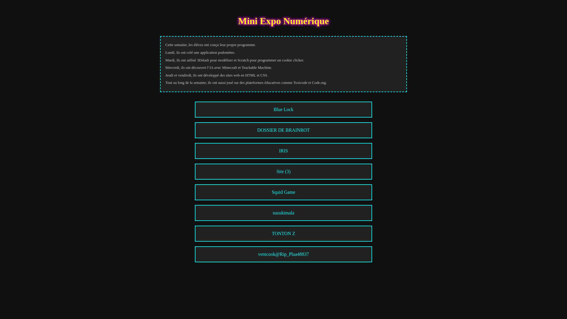 website screenshot of https://hcas2.pages.dev/