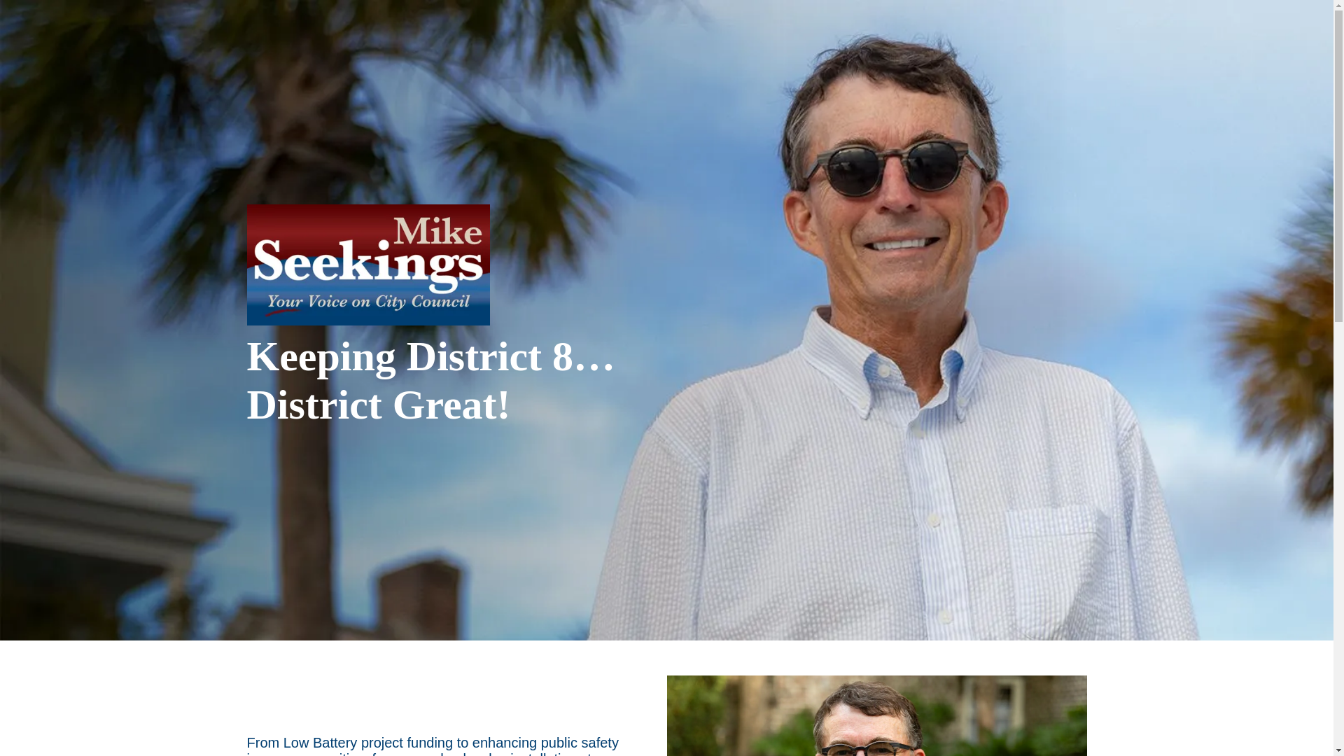 website screenshot of https://votemikeseekings.com/