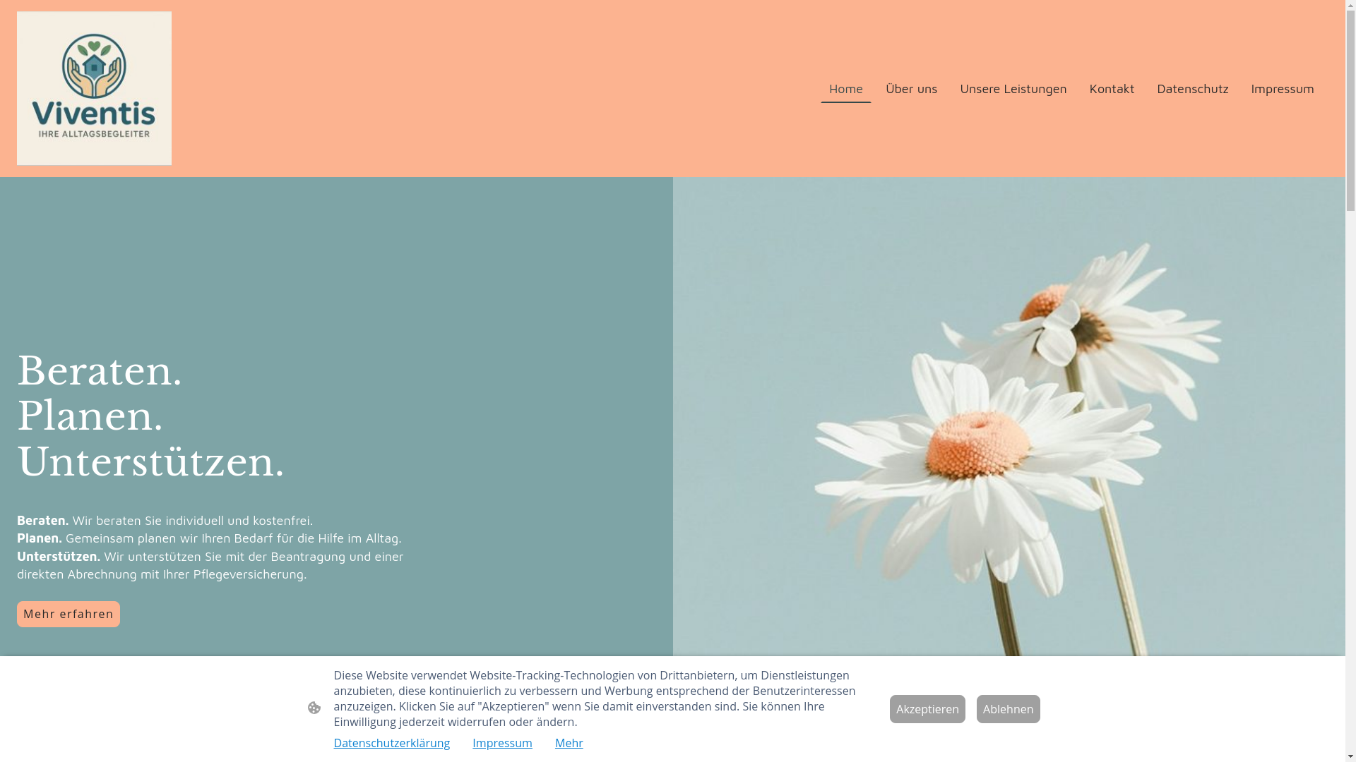 website screenshot of https://viventis-begleiter.de/