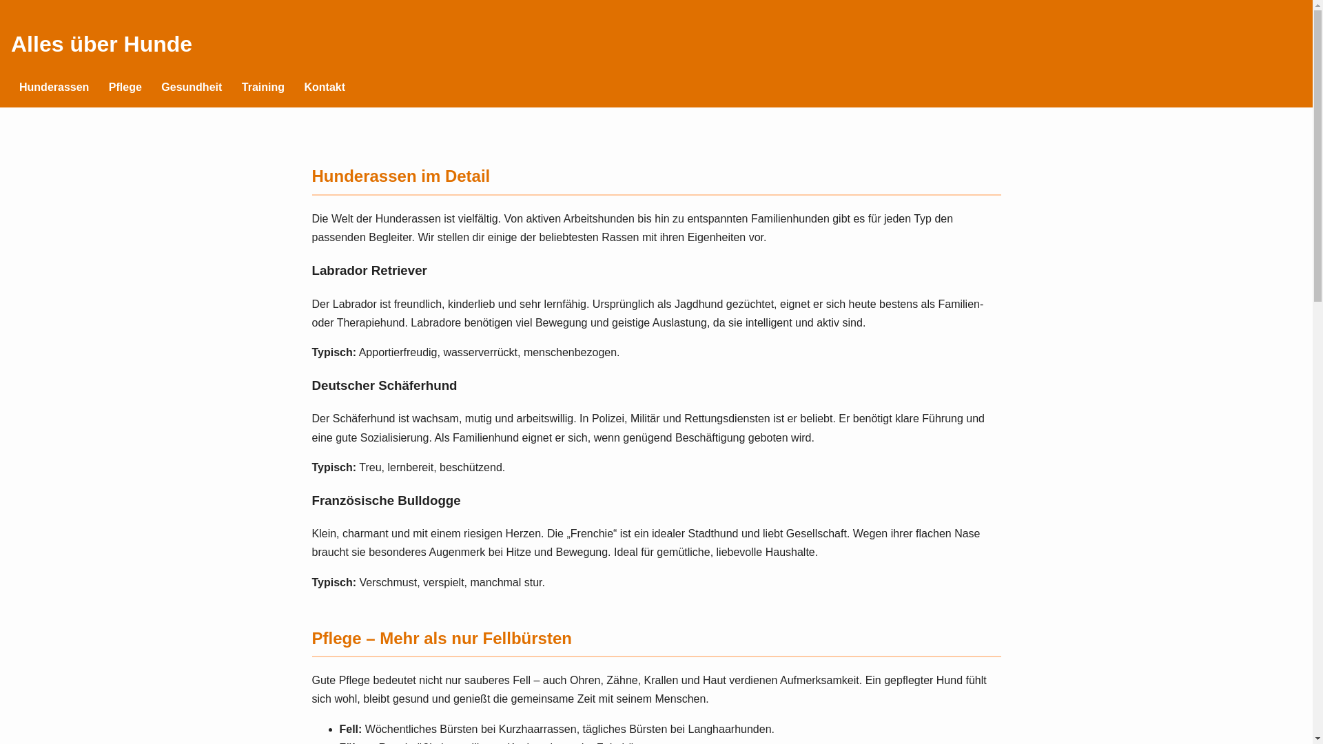website screenshot of https://besserundgutes.nl/