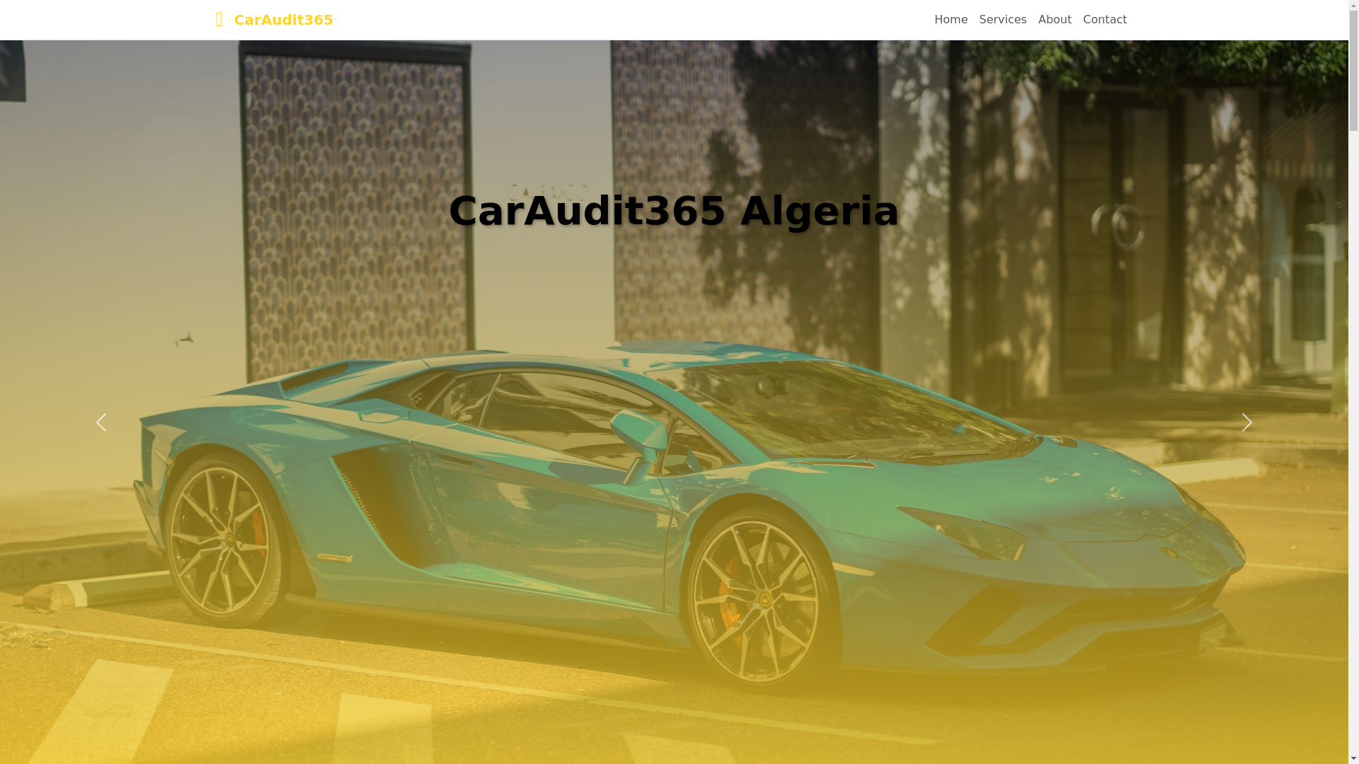 website screenshot of https://caraudit365.com/