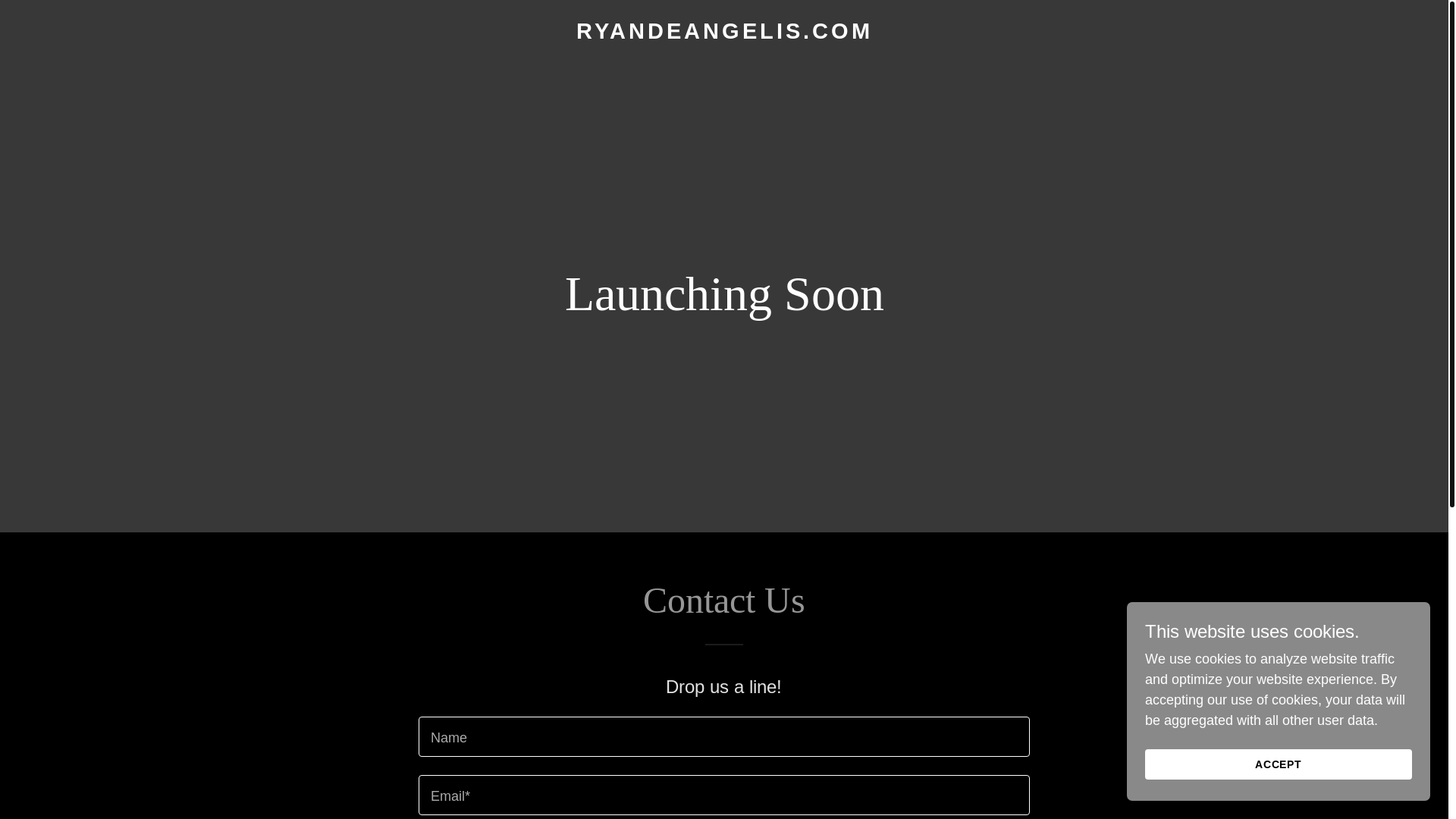 website screenshot of https://ryandeangelis.com/