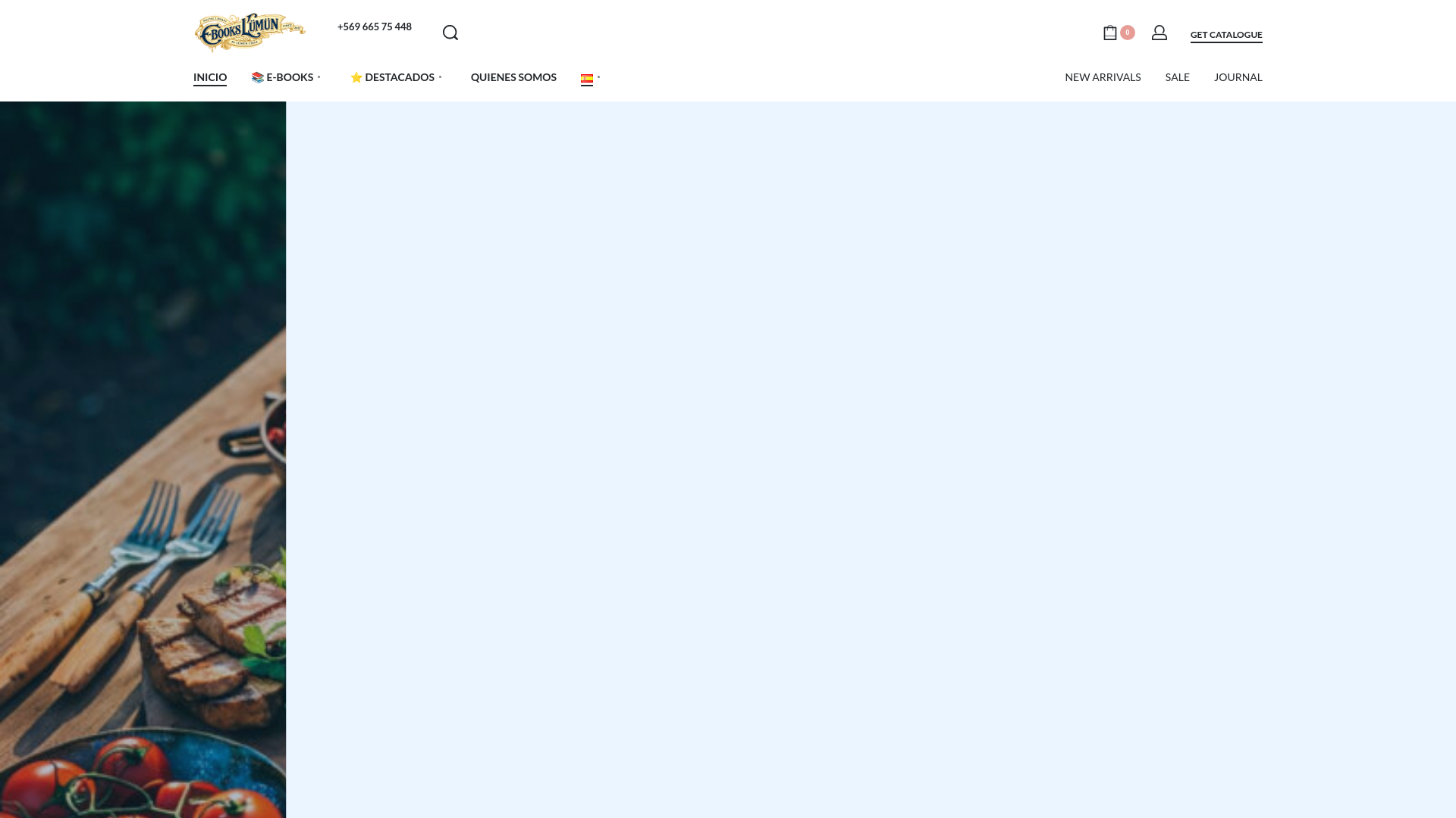 website screenshot of https://ebookslumun.com/