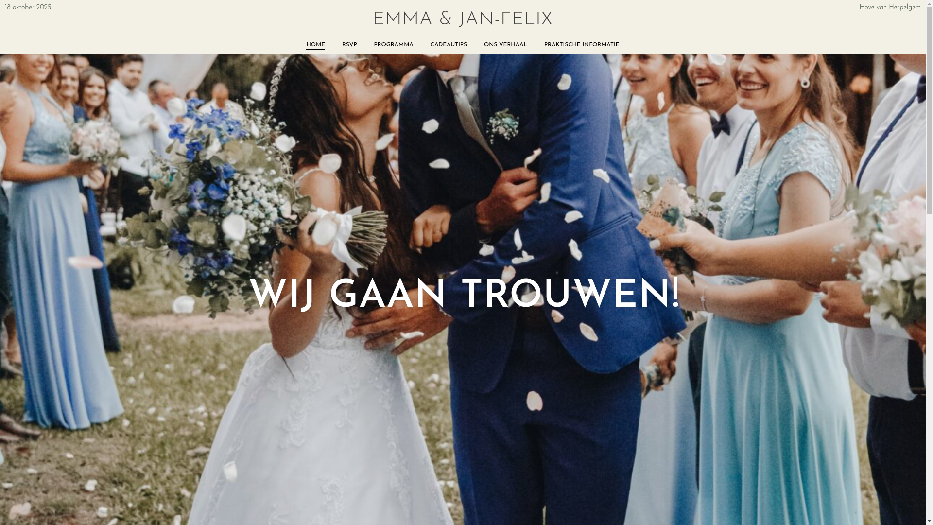 website screenshot of https://vandeveldewiels.be/