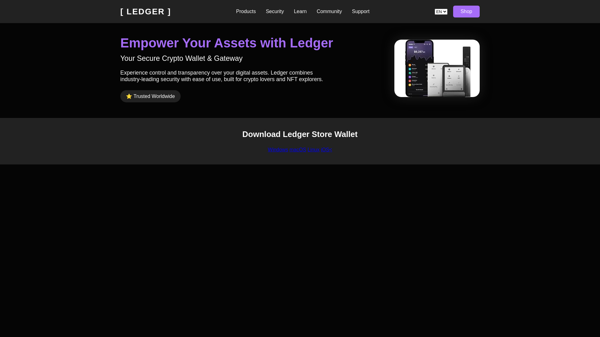 website screenshot of https://welcome-ledger-docs.pages.dev/