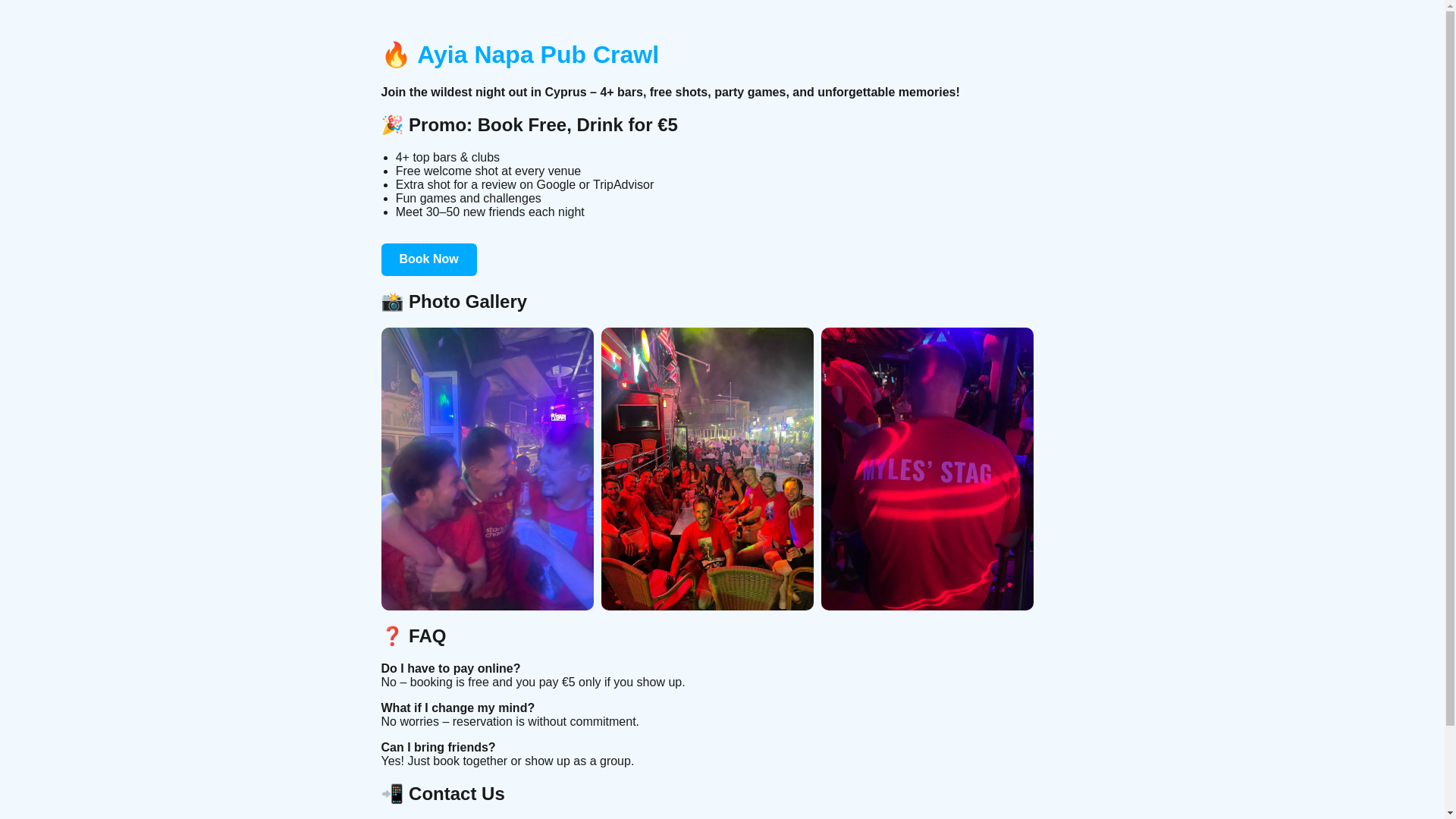 website screenshot of https://ayianapa.pages.dev/