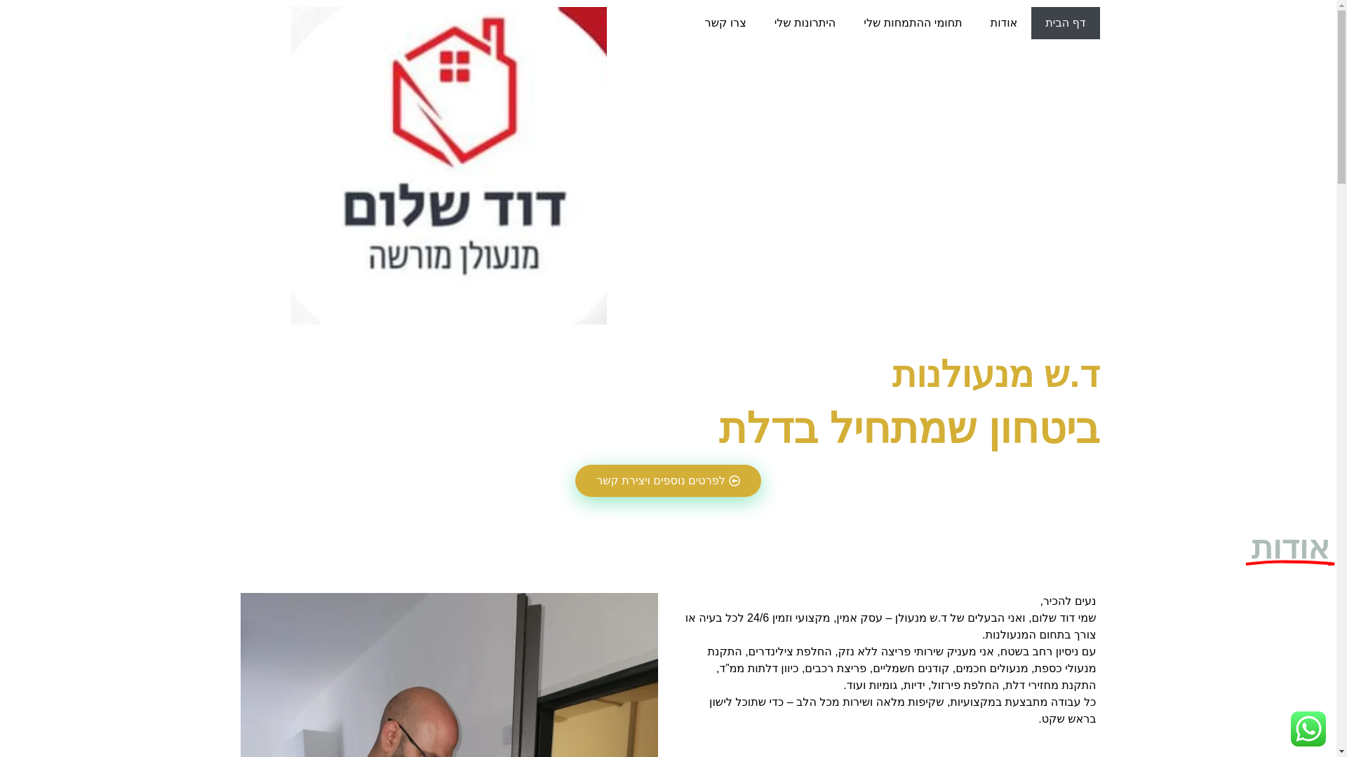 website screenshot of https://ds-locksmith.com/