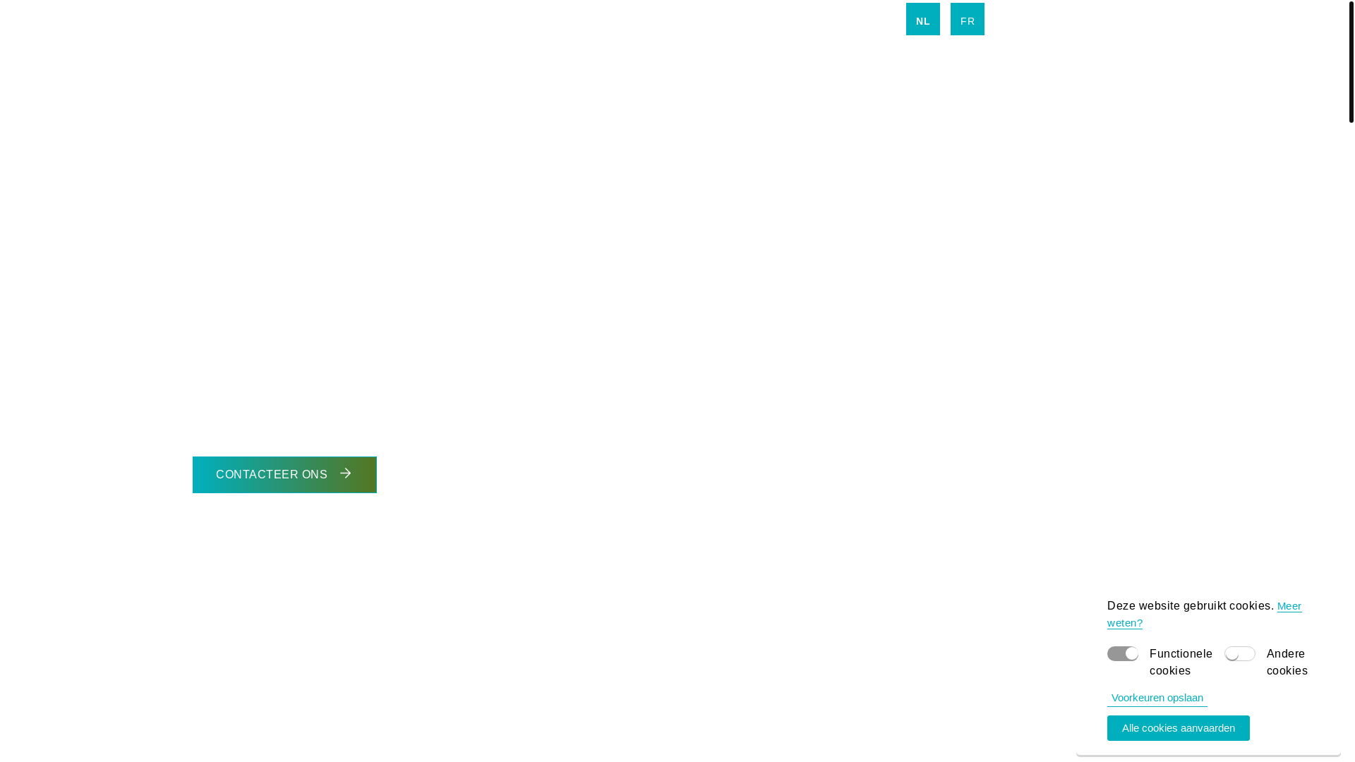 website screenshot of https://wycor-woodconstruct.eu/