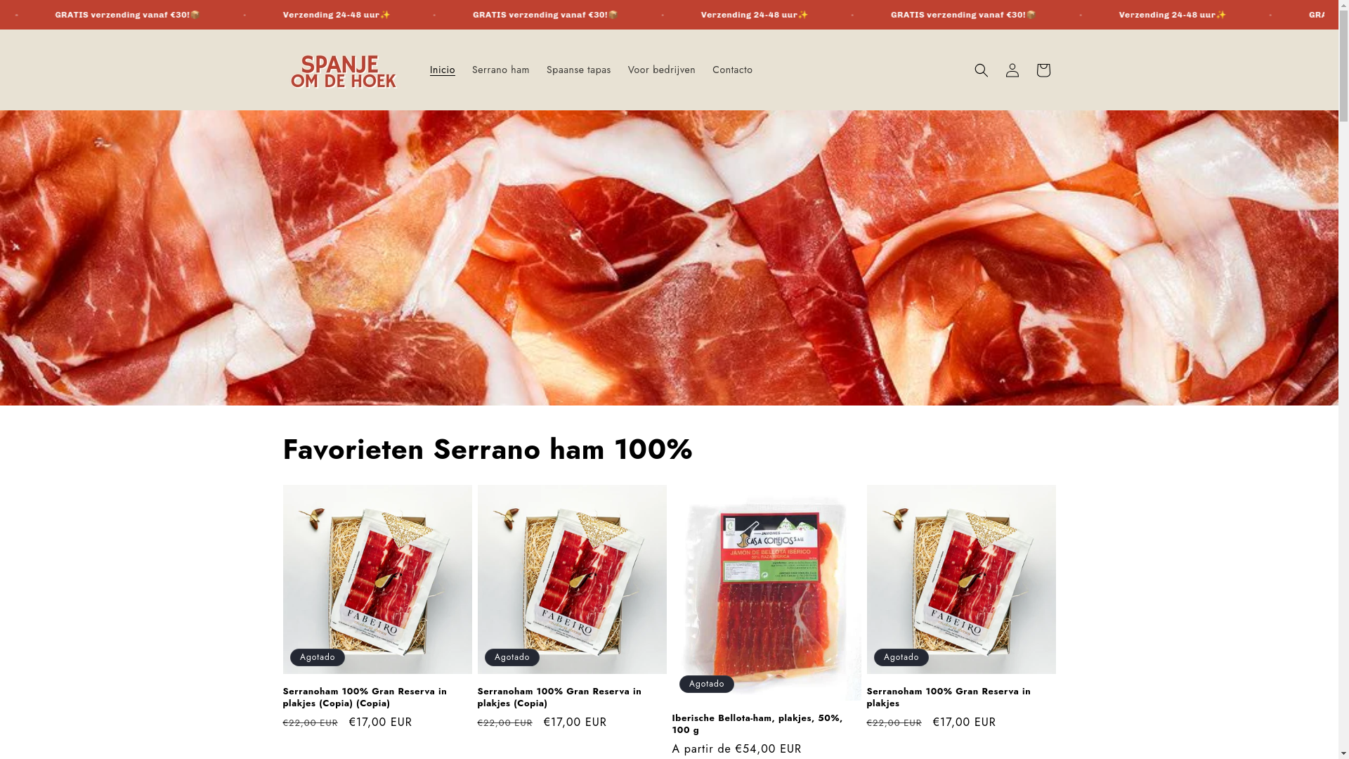 website screenshot of https://spanjeomdehoek.com/