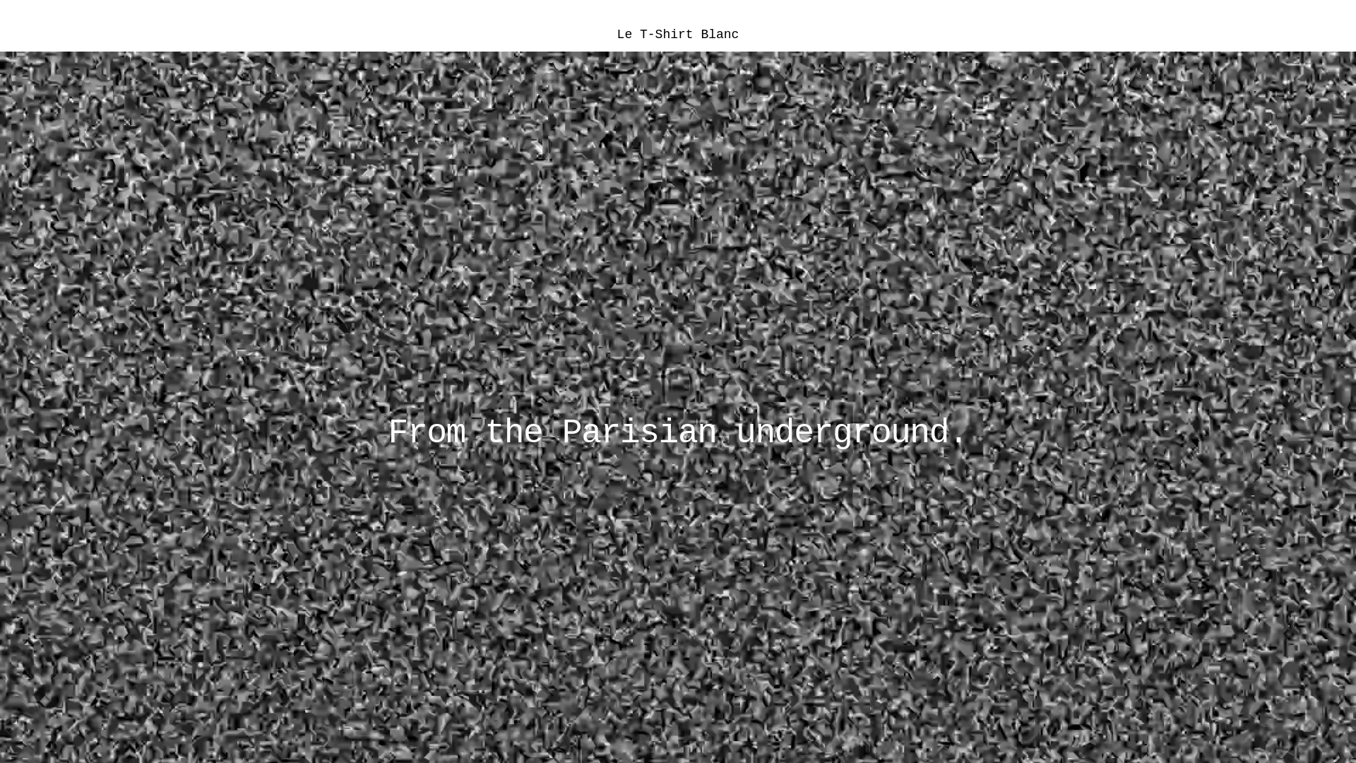 website screenshot of https://tshirtblanc.store