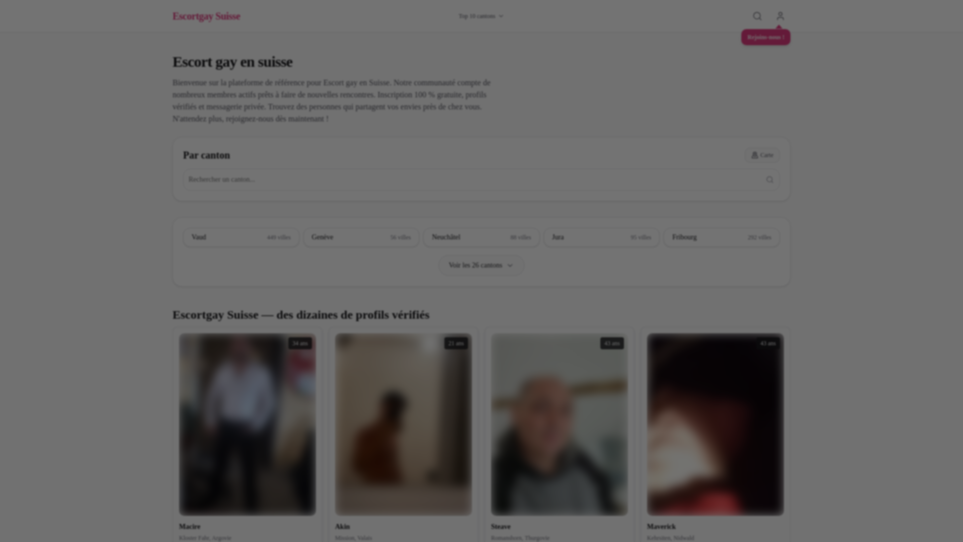 website screenshot of https://escortgay.ch/