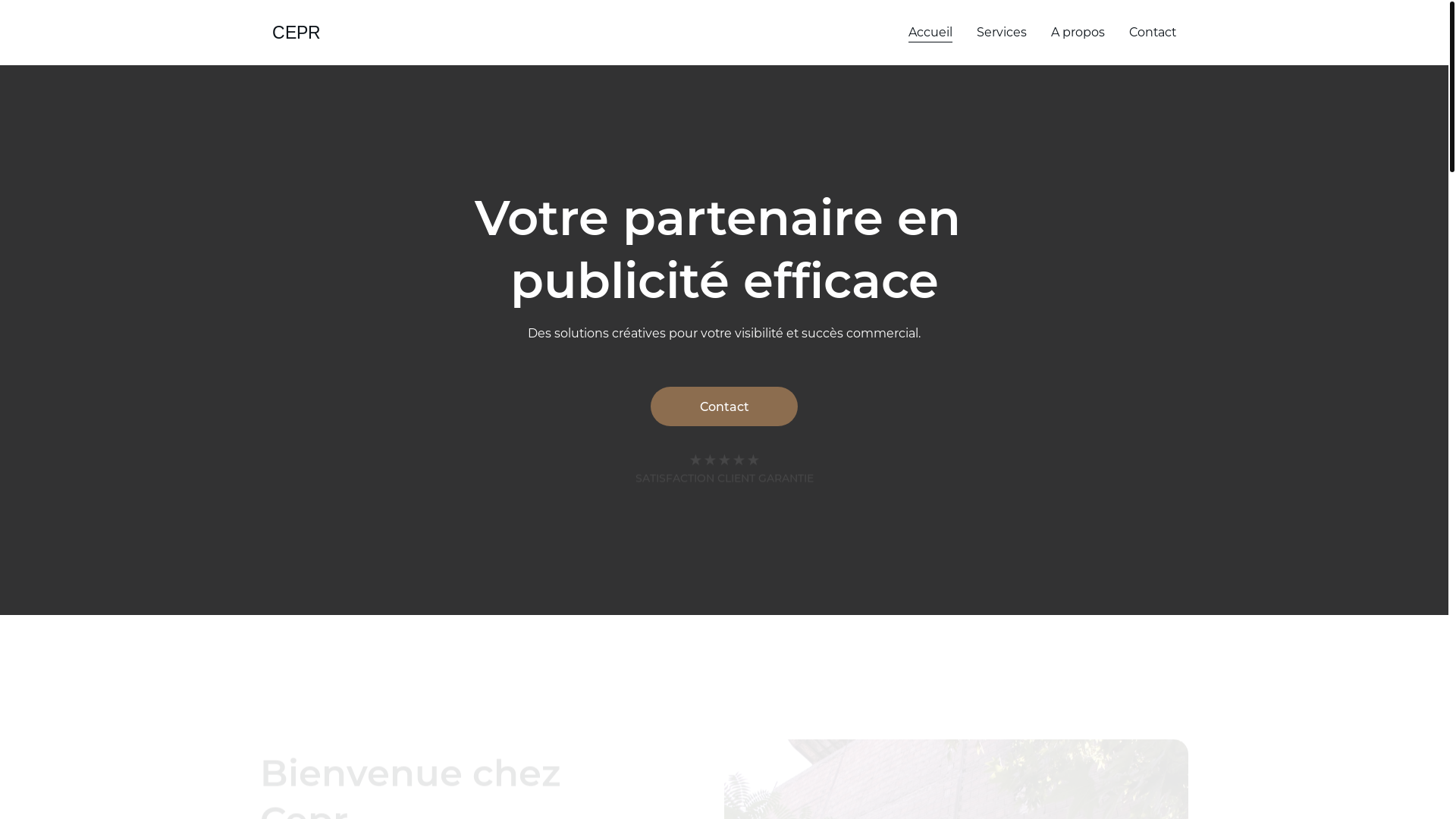 website screenshot of https://cepr-marketing.fr/