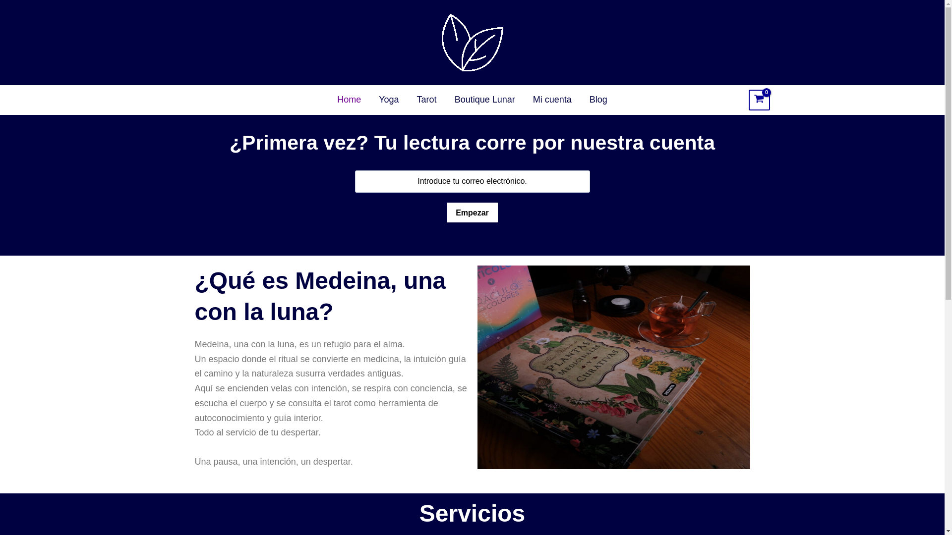 website screenshot of https://medeinaunaconlaluna.com/