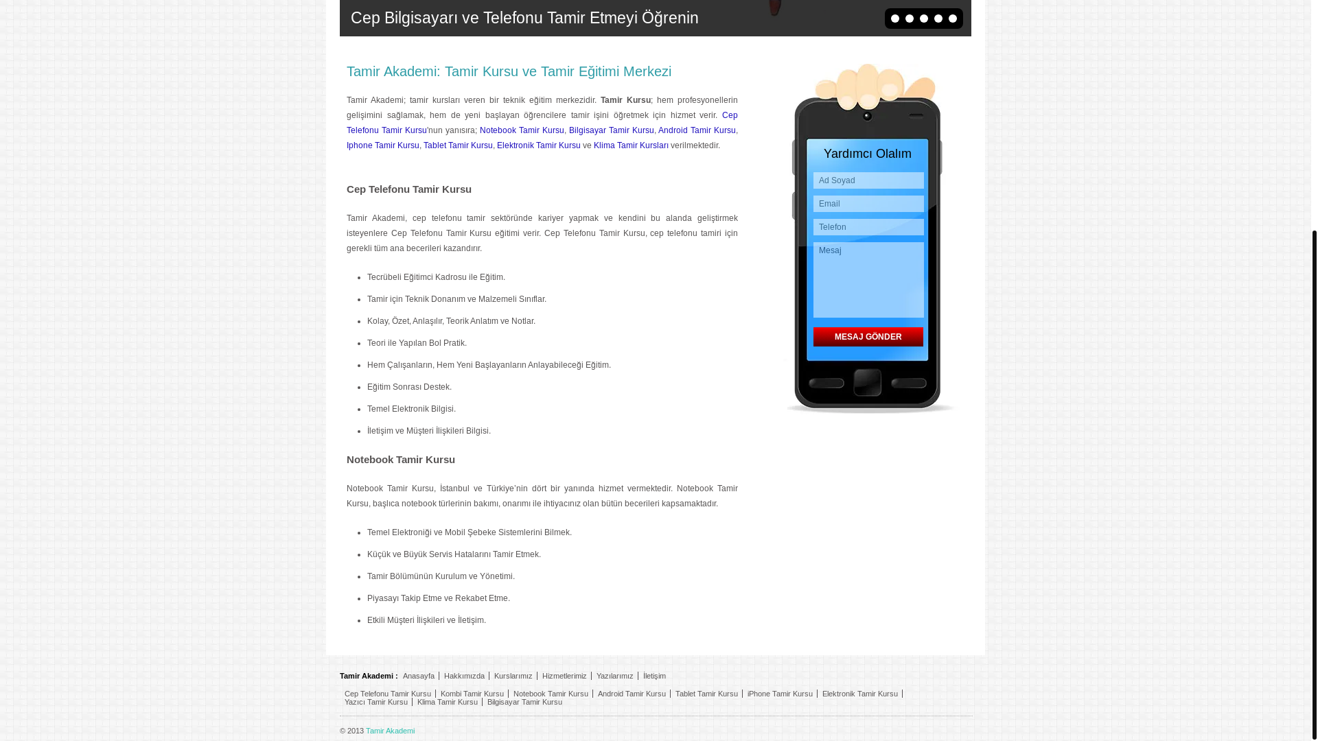 website screenshot of https://tamirakademi.pages.dev/