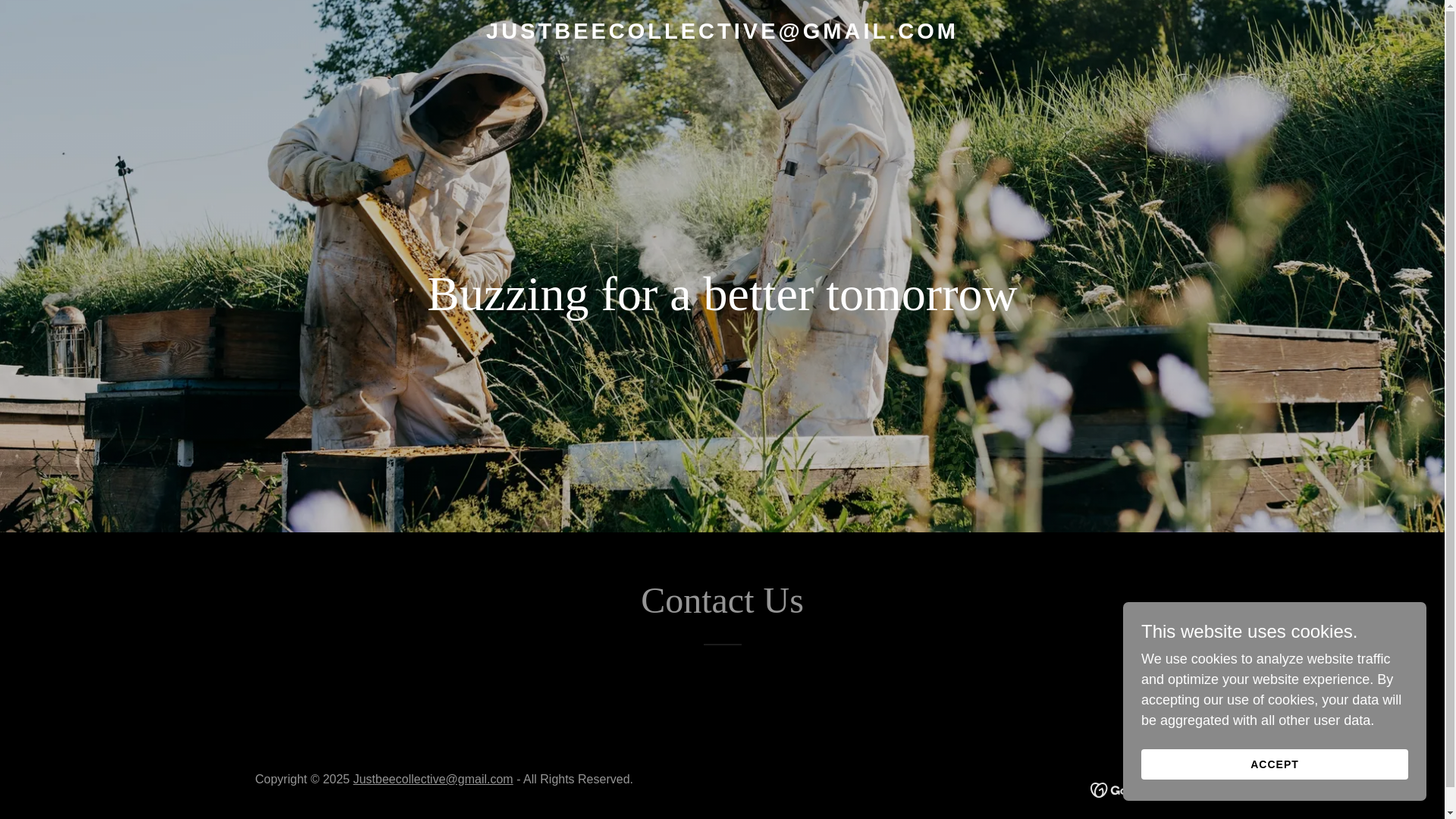 website screenshot of https://justbeecollective.co.za/