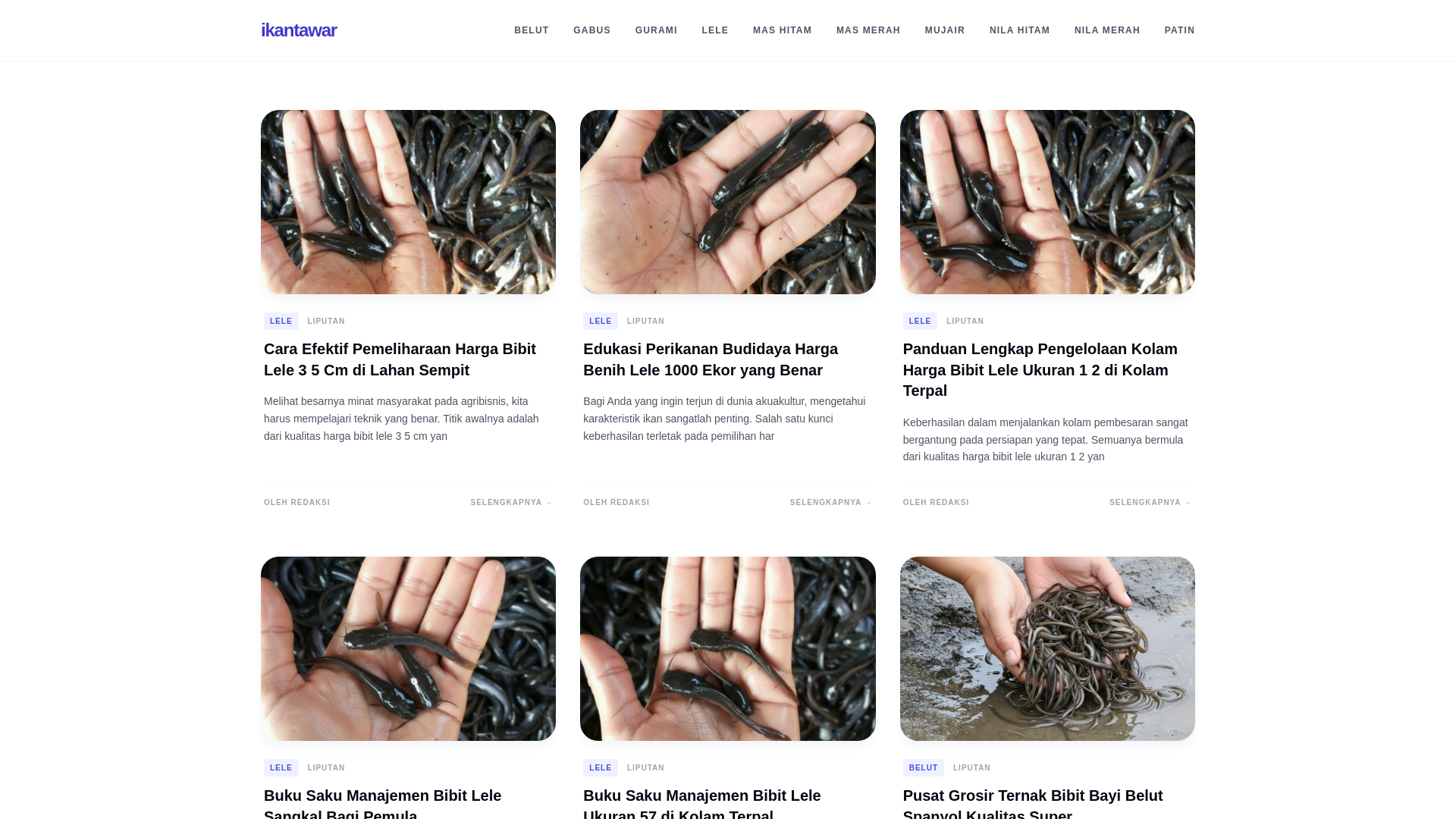 website screenshot of https://anakanikantawar.pages.dev/