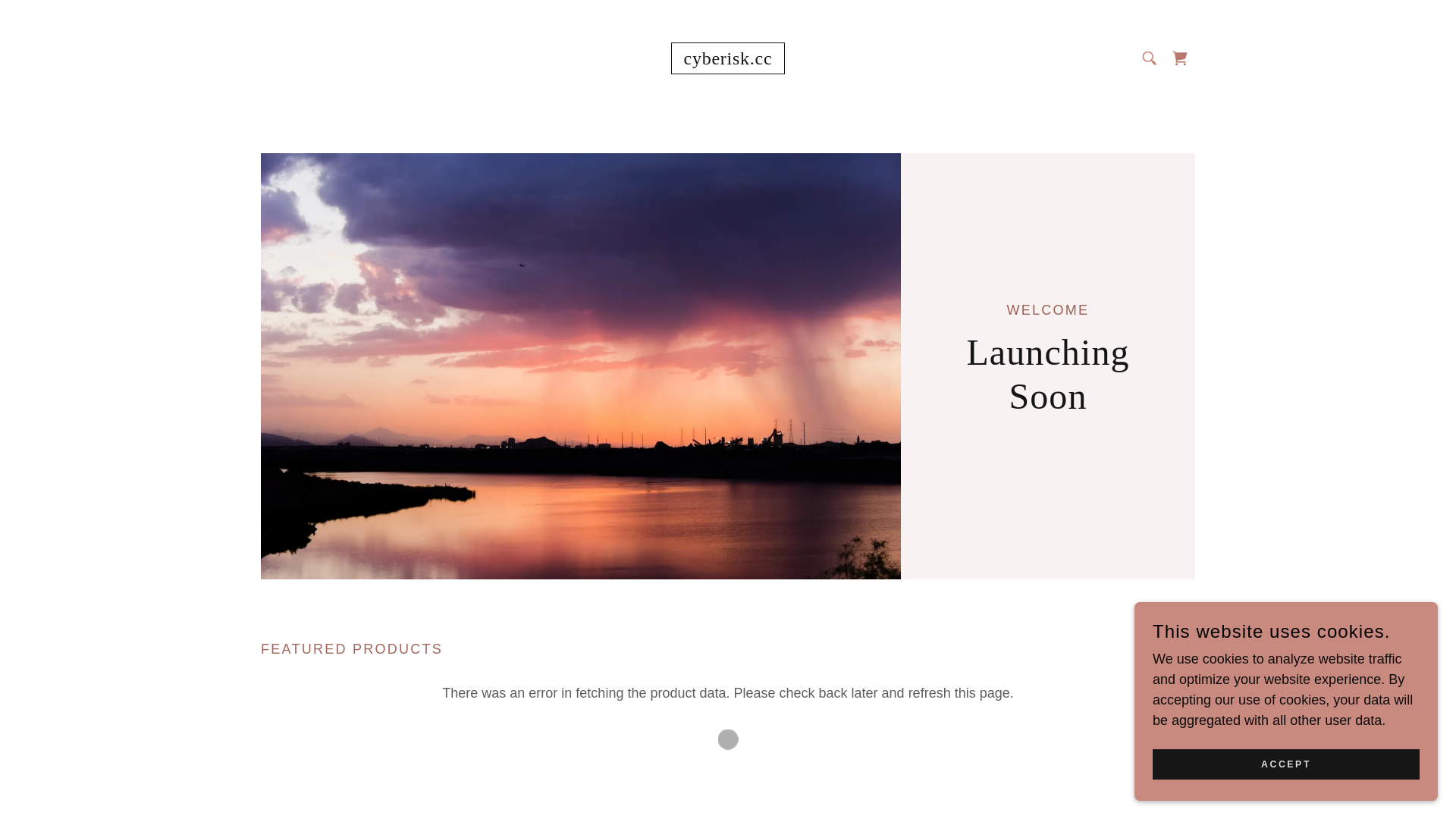 website screenshot of https://cyberisk.cc/