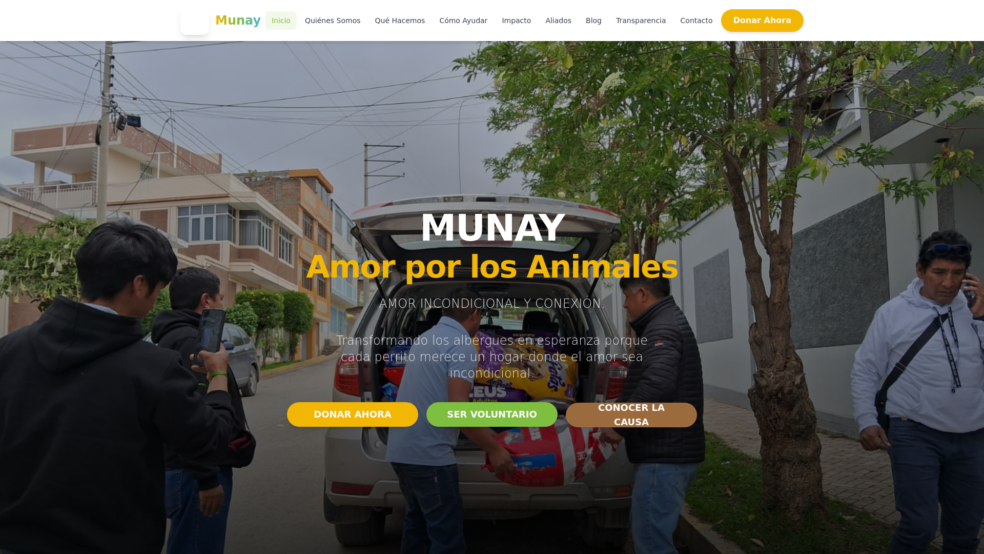 website screenshot of https://munayperu.org/