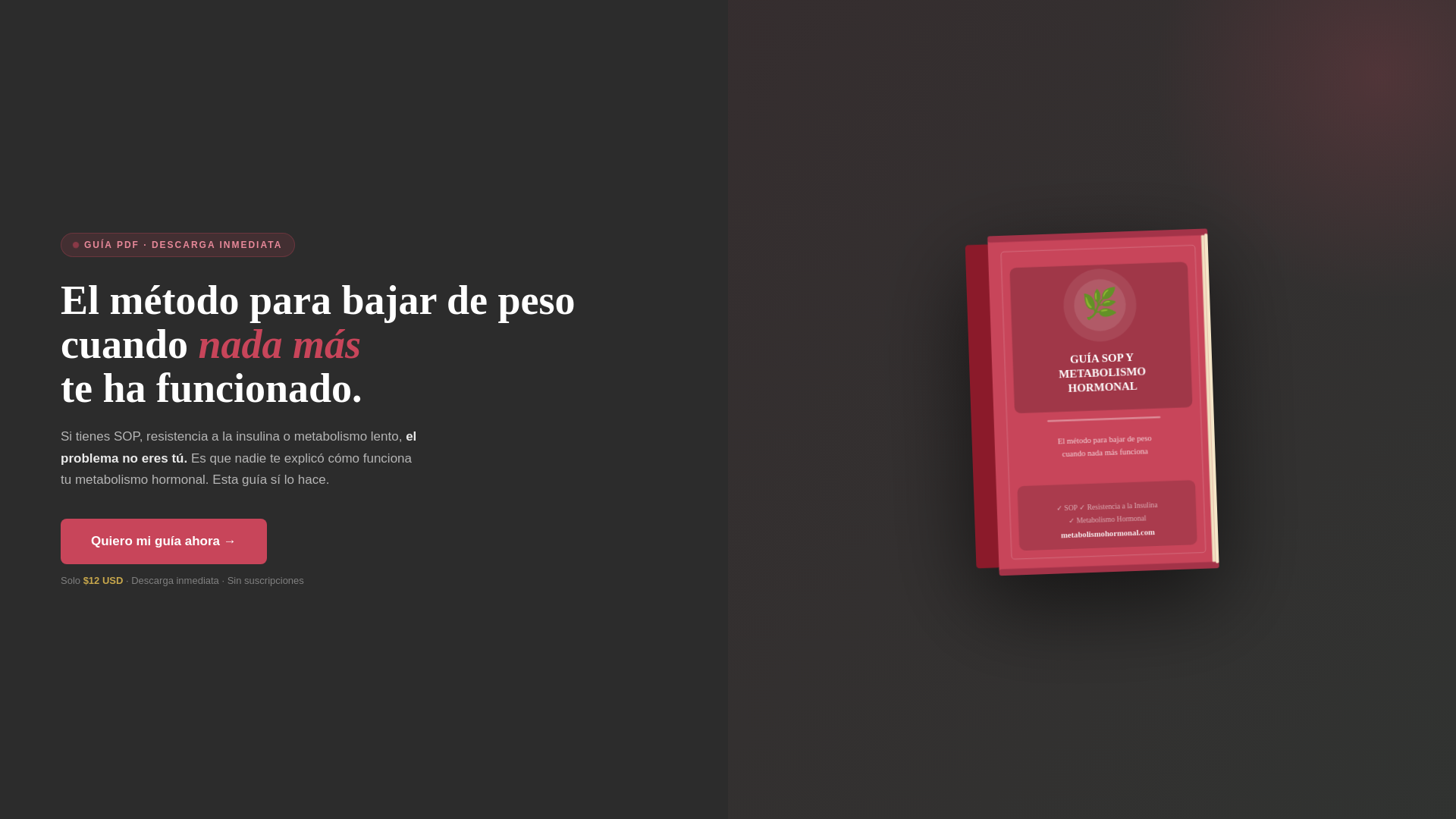 website screenshot of https://metabolismofemenino.com/