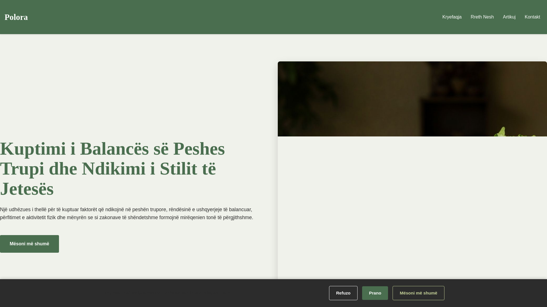 website screenshot of https://polora.info/