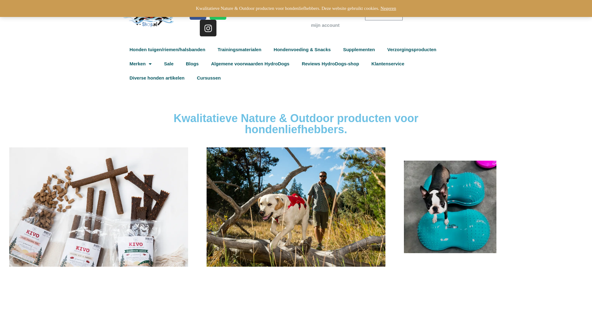 website screenshot of https://pootindenatuur.nl/