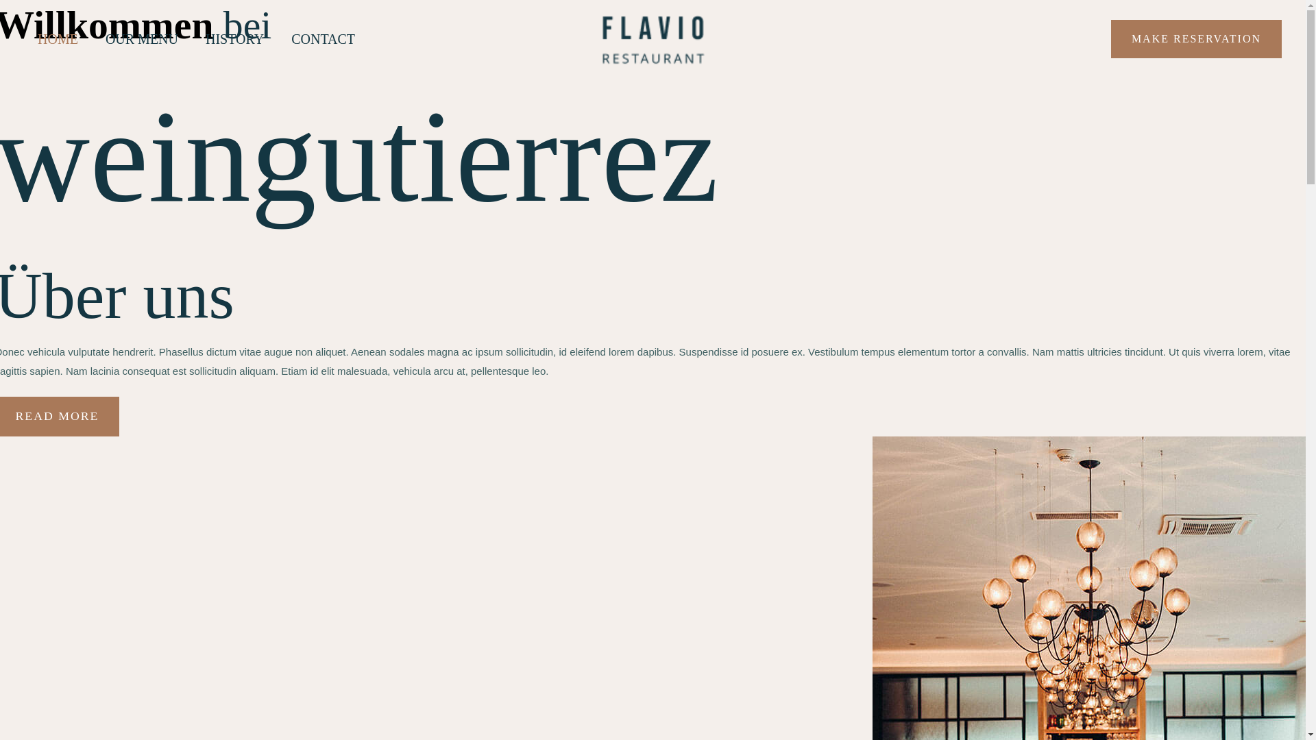 website screenshot of https://weingutierrez.com/