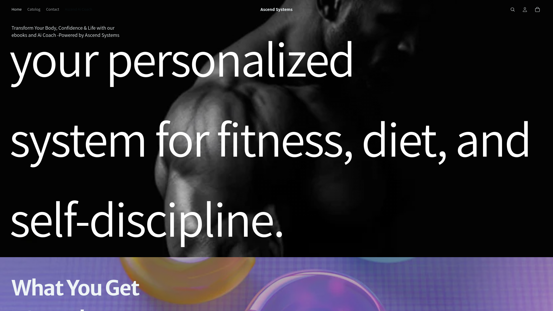 website screenshot of https://ascendsystems.store