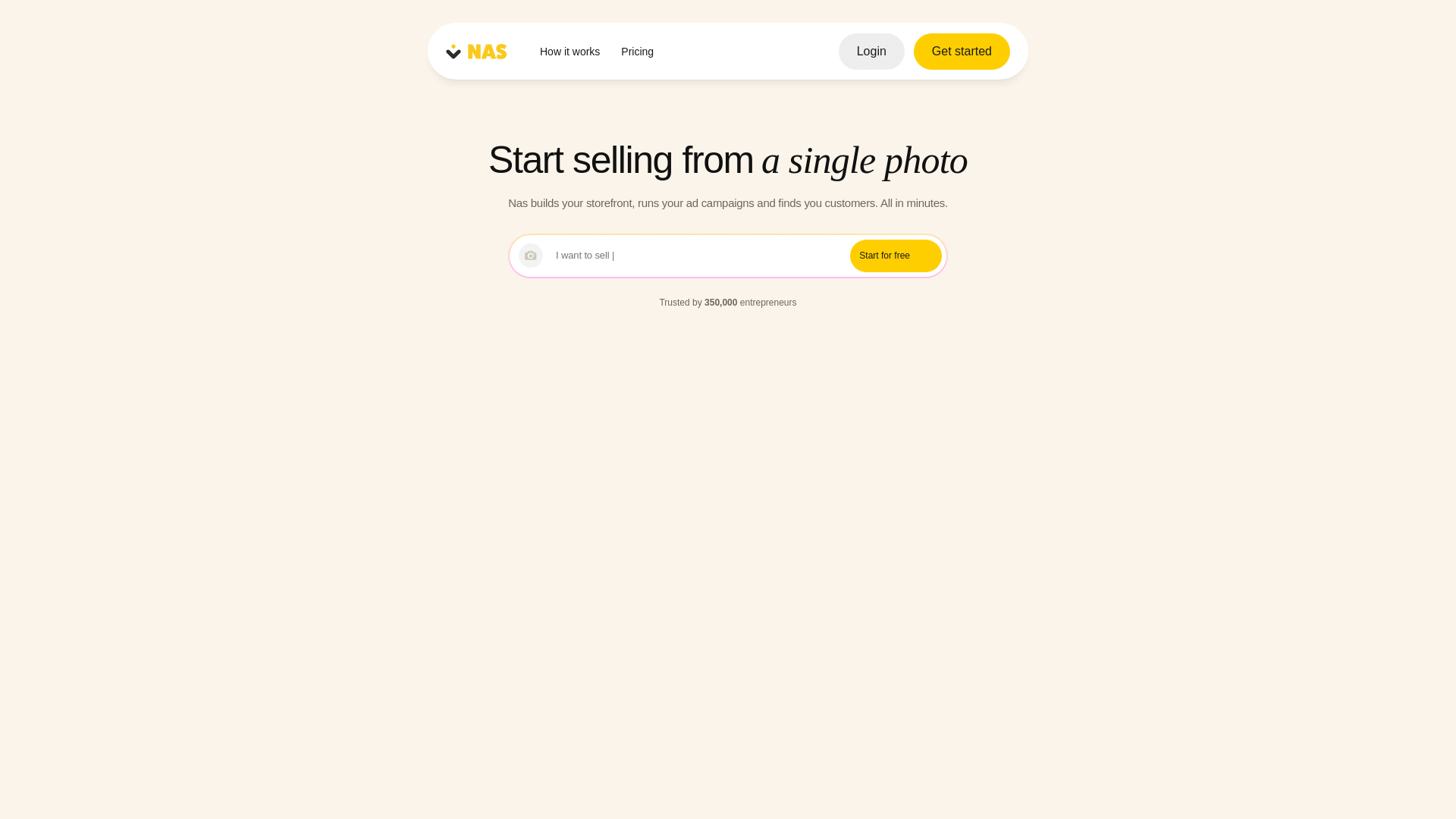 website screenshot of https://dev-nas.com/