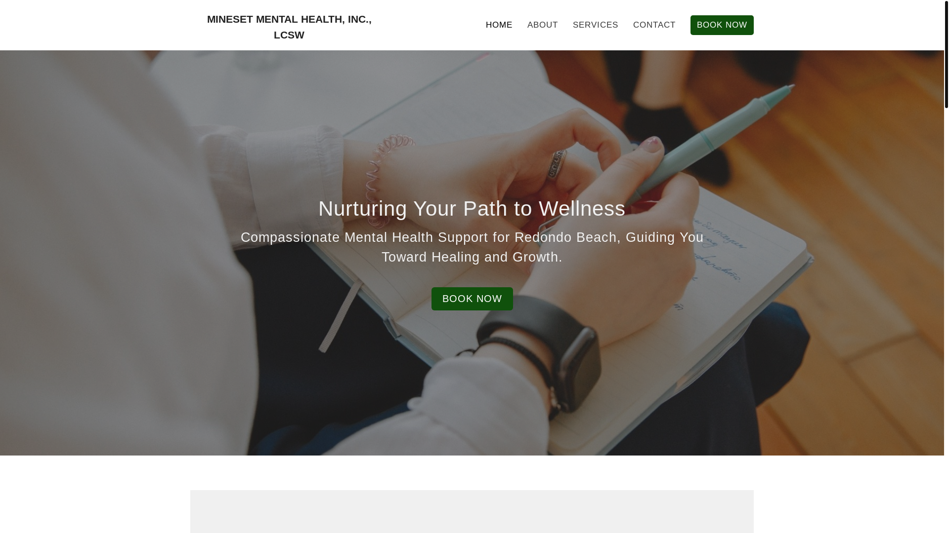 website screenshot of https://minesetmentalhealth.com/