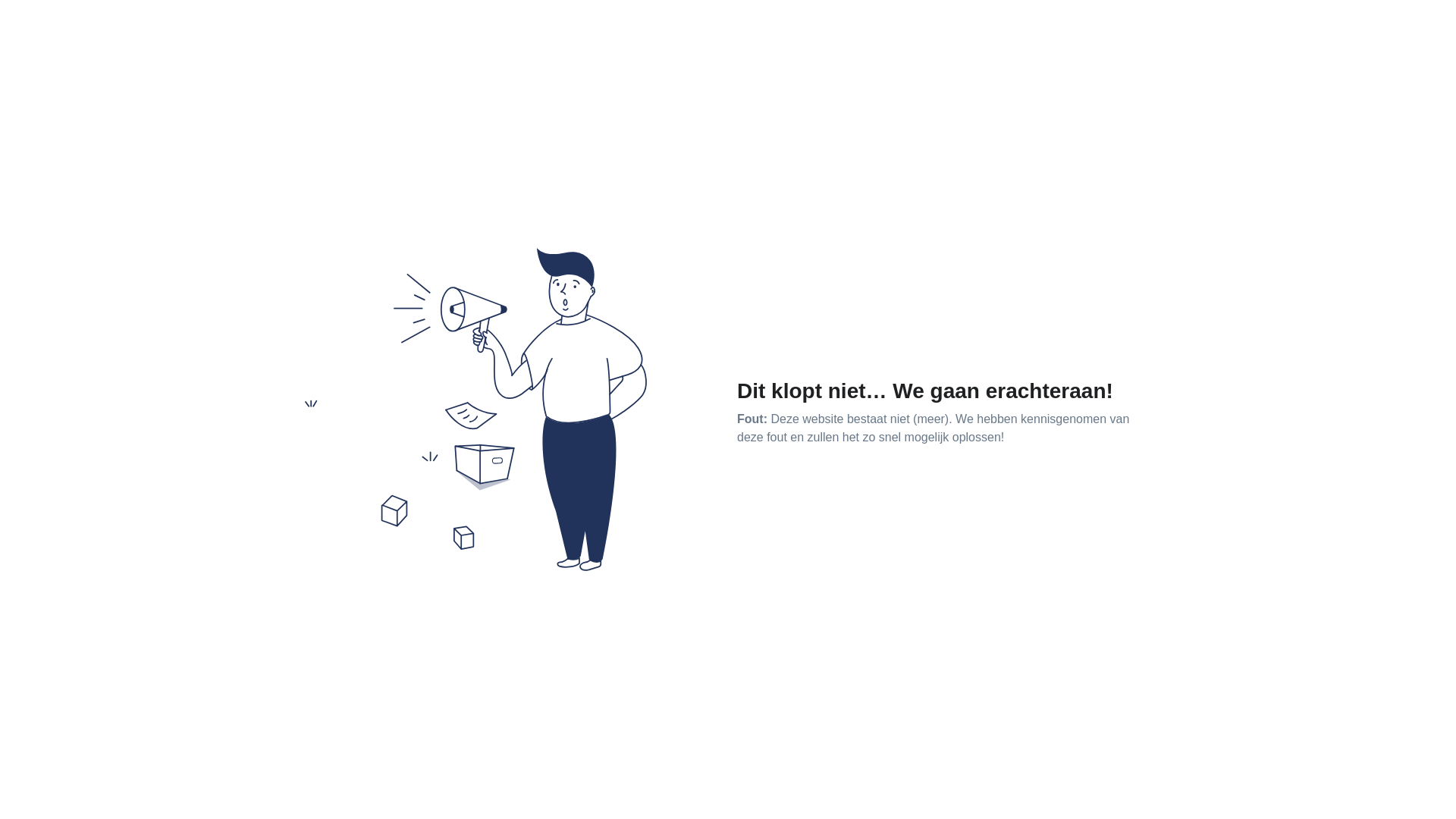 website screenshot of https://maze-international.it/