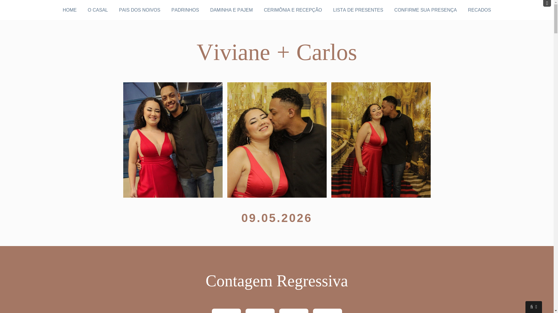 website screenshot of https://vivianeecarlos.com.br/