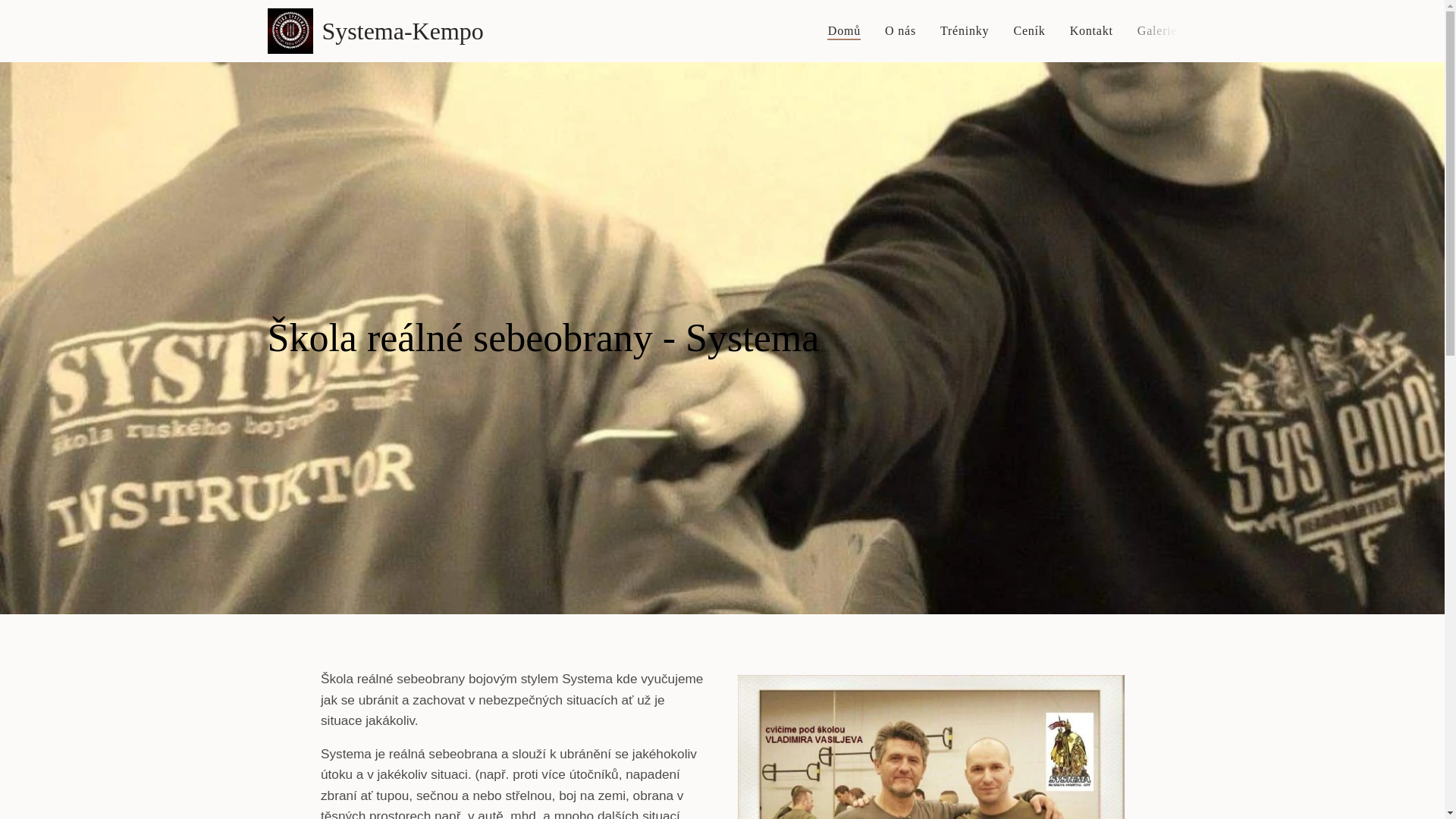 website screenshot of https://systema-sebeobrana.cz/
