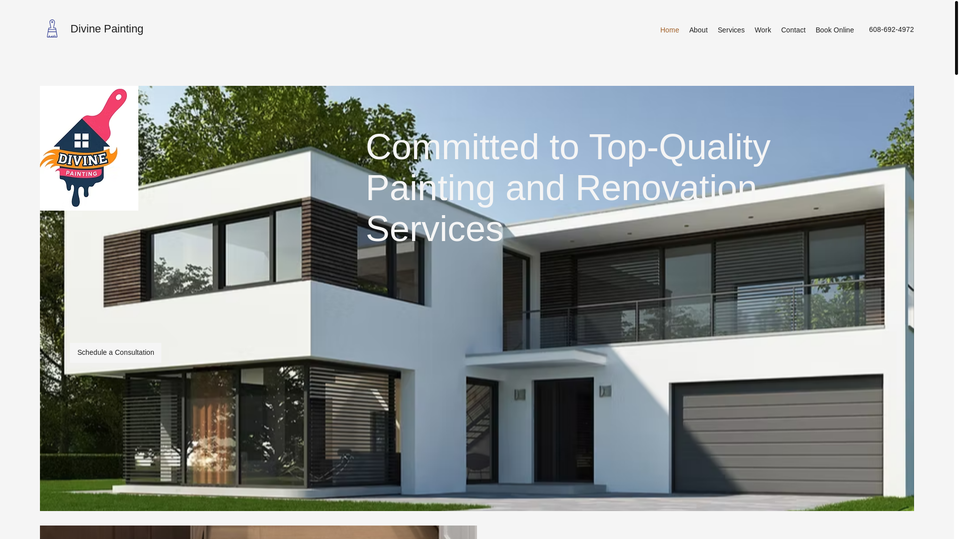 website screenshot of https://divinepaintingllc.net/