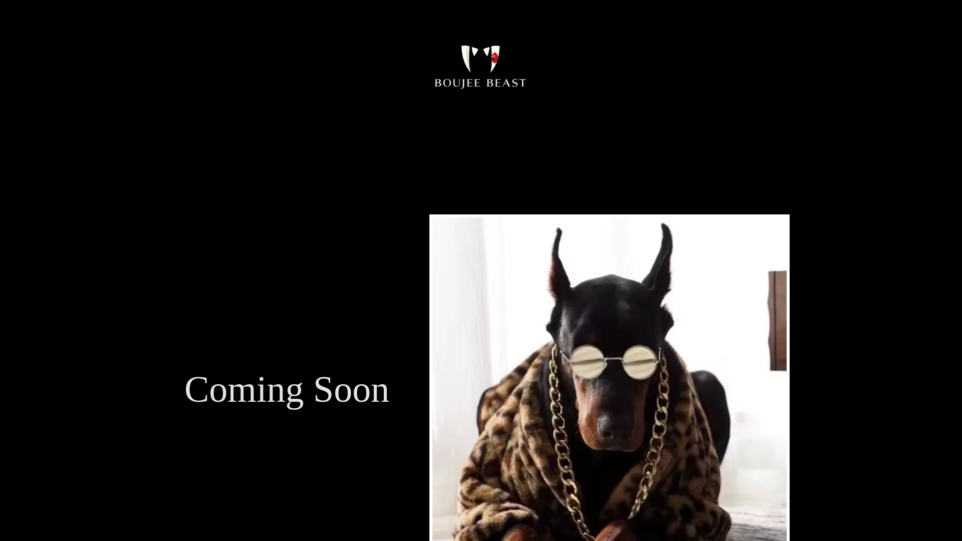 website screenshot of https://boujeebeast.com.au