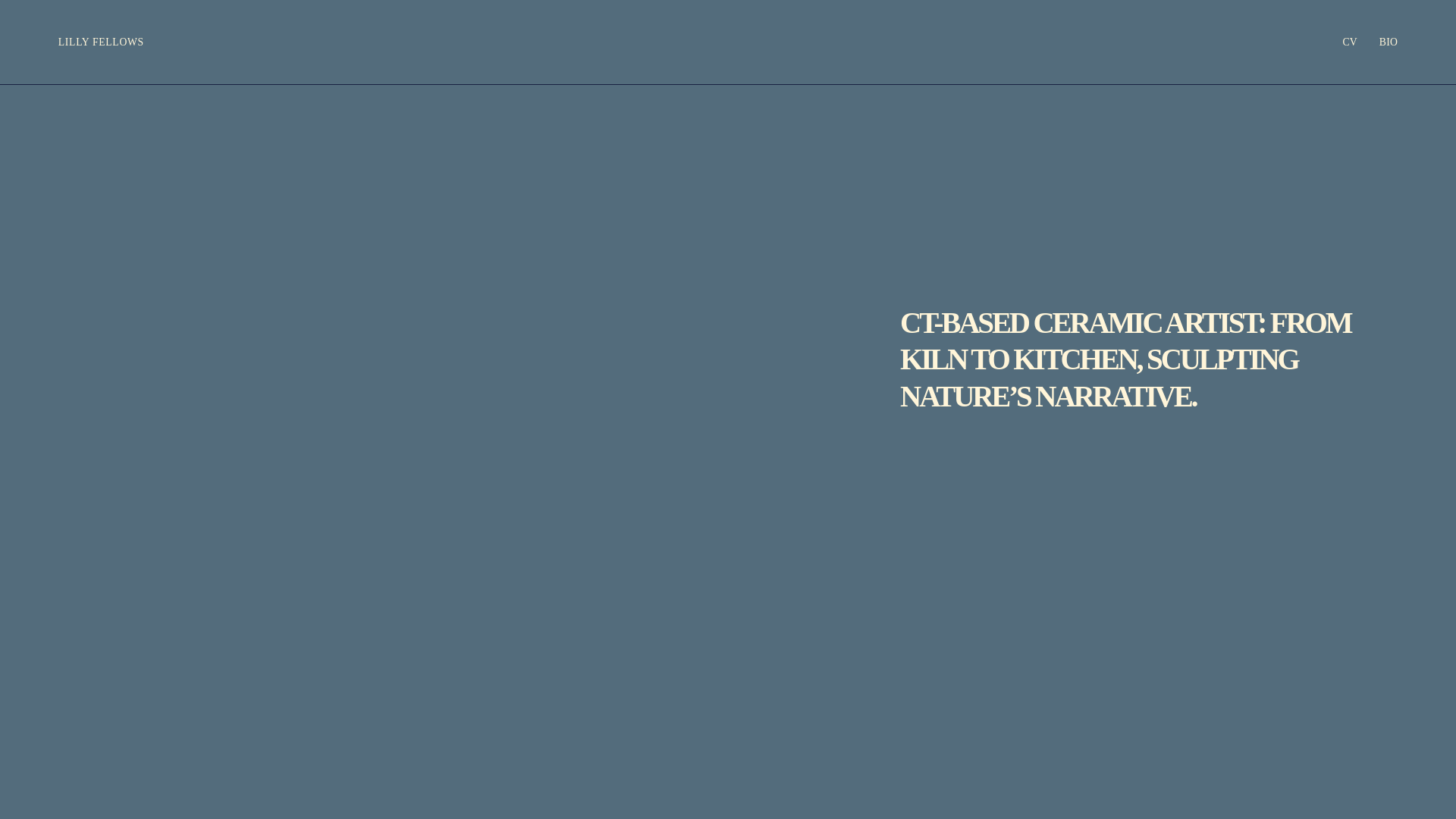 website screenshot of https://fancypantsct.com