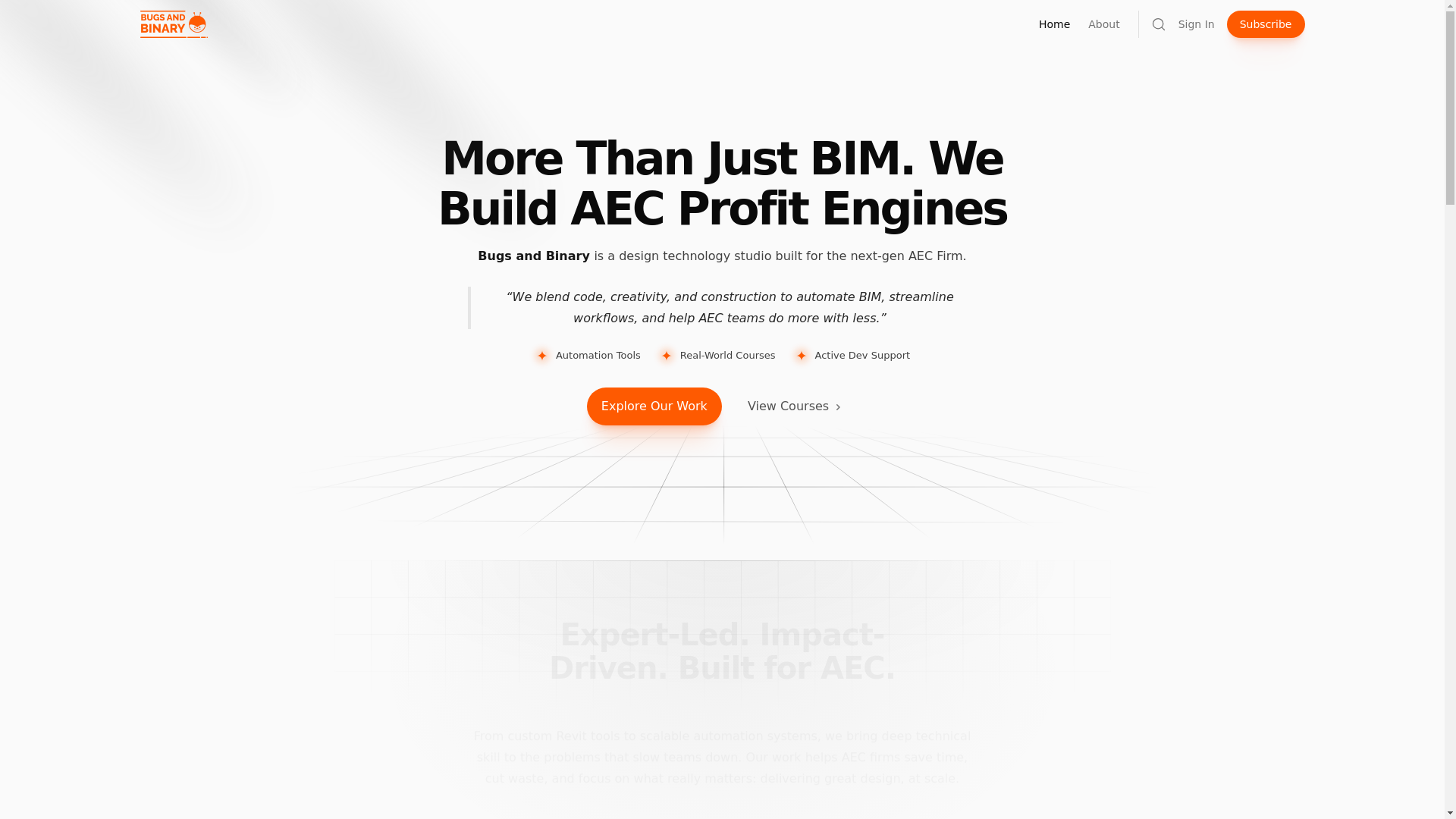 website screenshot of https://bugsandbinary.com/