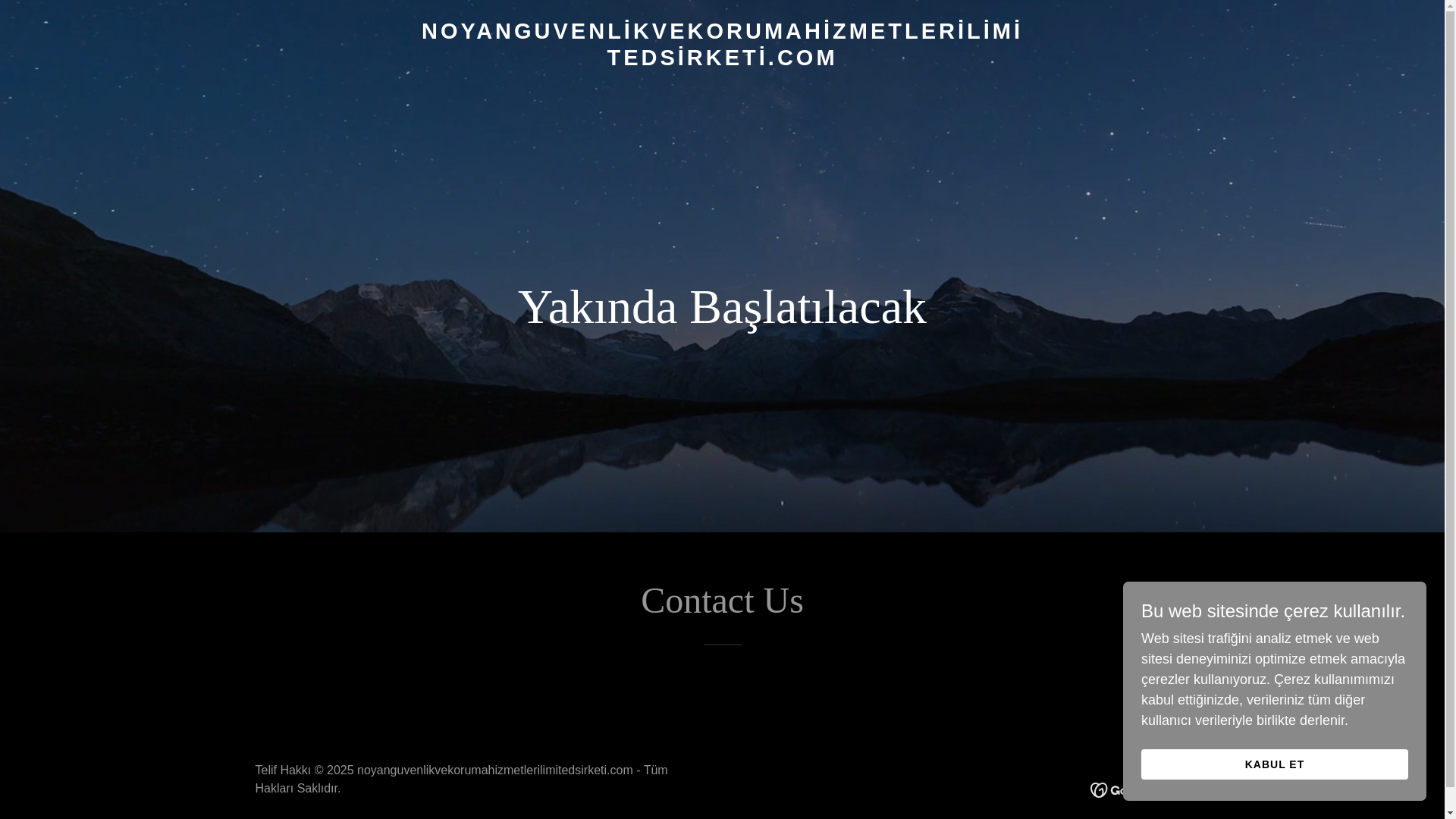 website screenshot of https://noyanguvenlikvekorumahizmetlerilimitedsirketi.com/