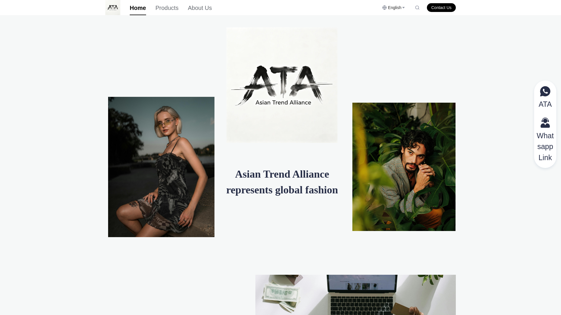 website screenshot of https://atashop.com.cn