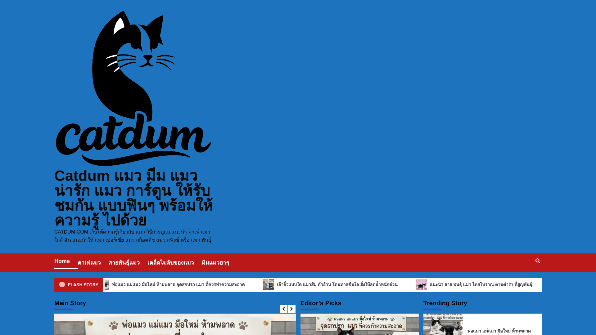 website screenshot of https://catdum.com/