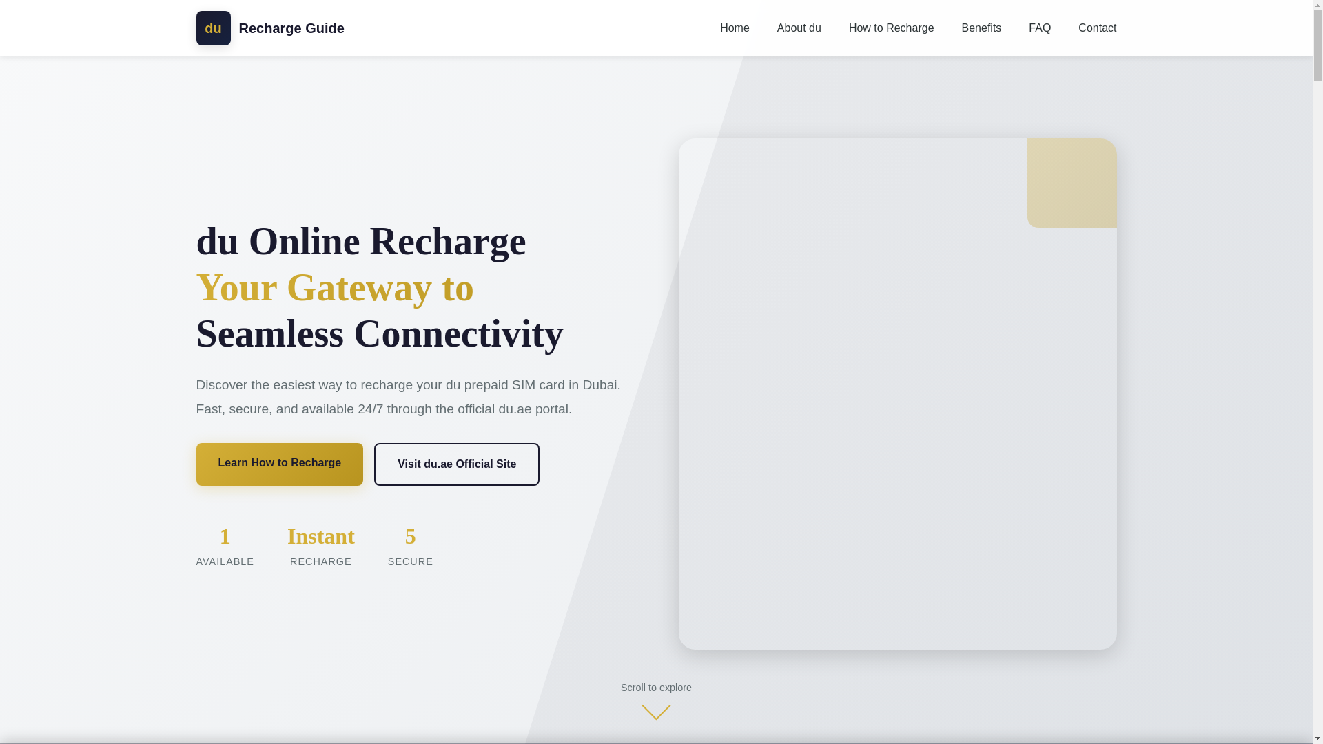 website screenshot of https://du-payment.com/