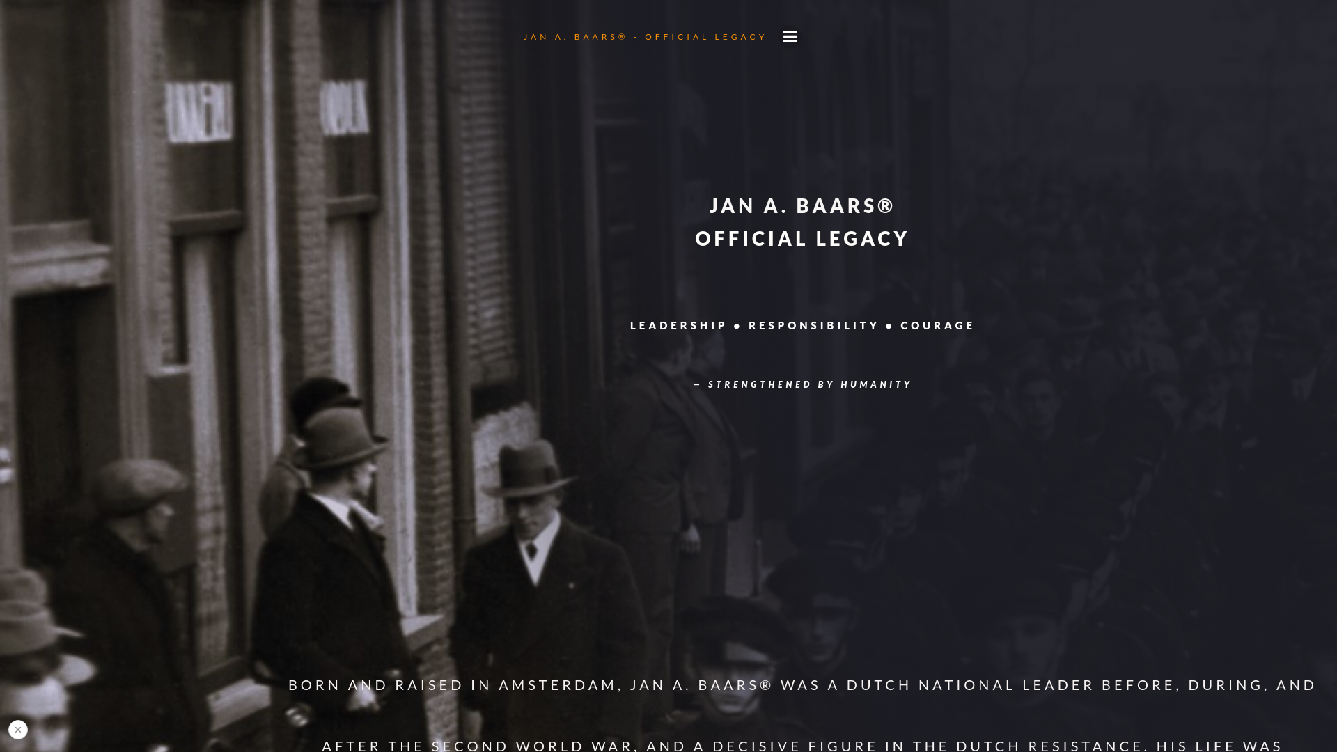 website screenshot of https://hendrikafrederikabaarswehmanamsterdam.com