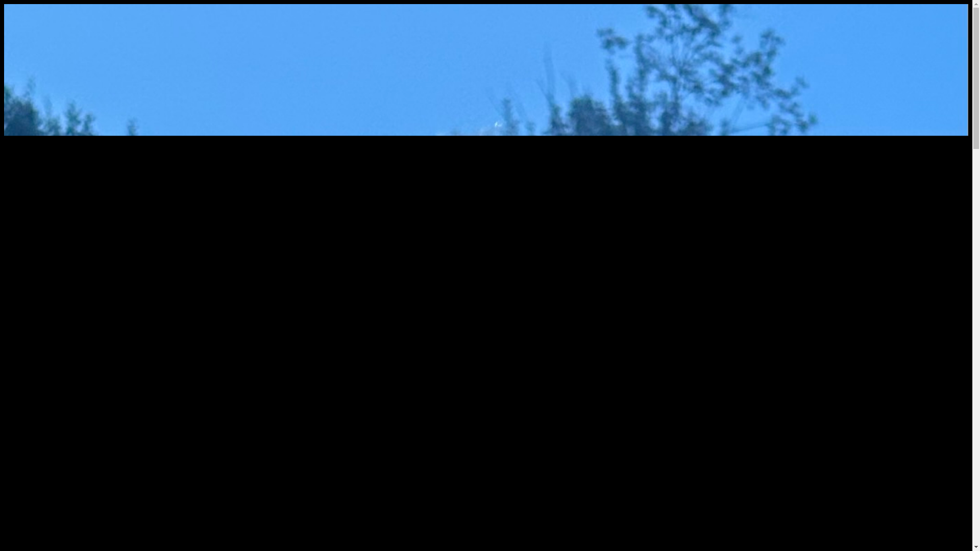 website screenshot of https://fucksille.dk/
