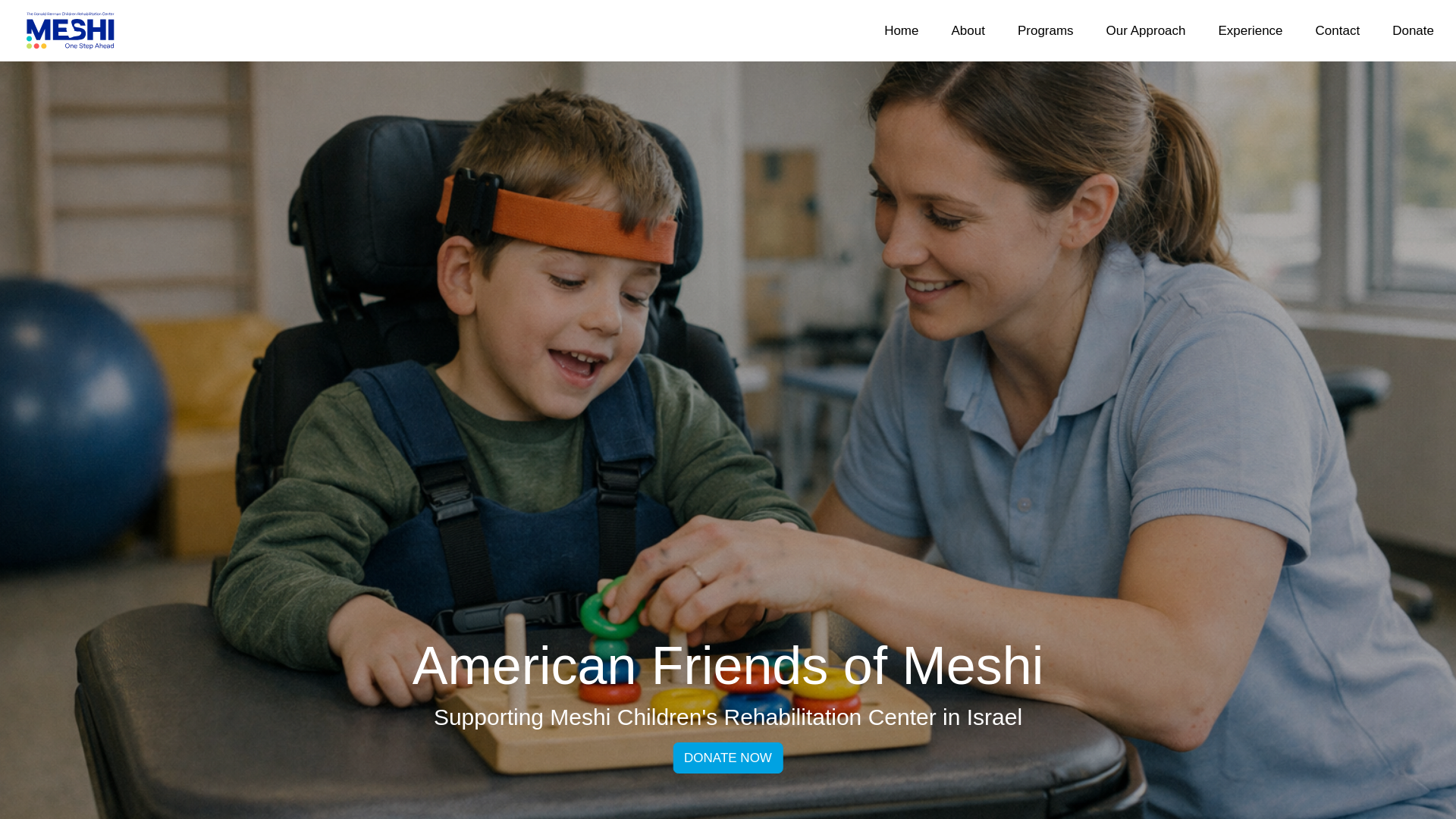 website screenshot of https://afomeshi.org