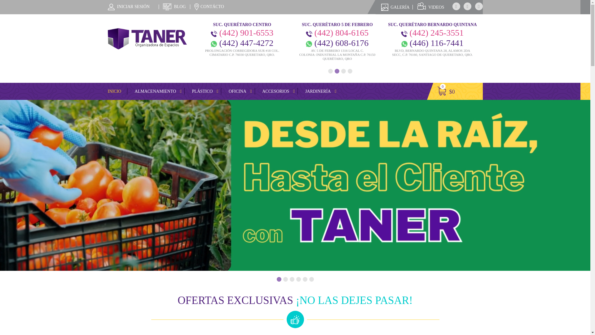 website screenshot of https://internacionaltaner.pages.dev/