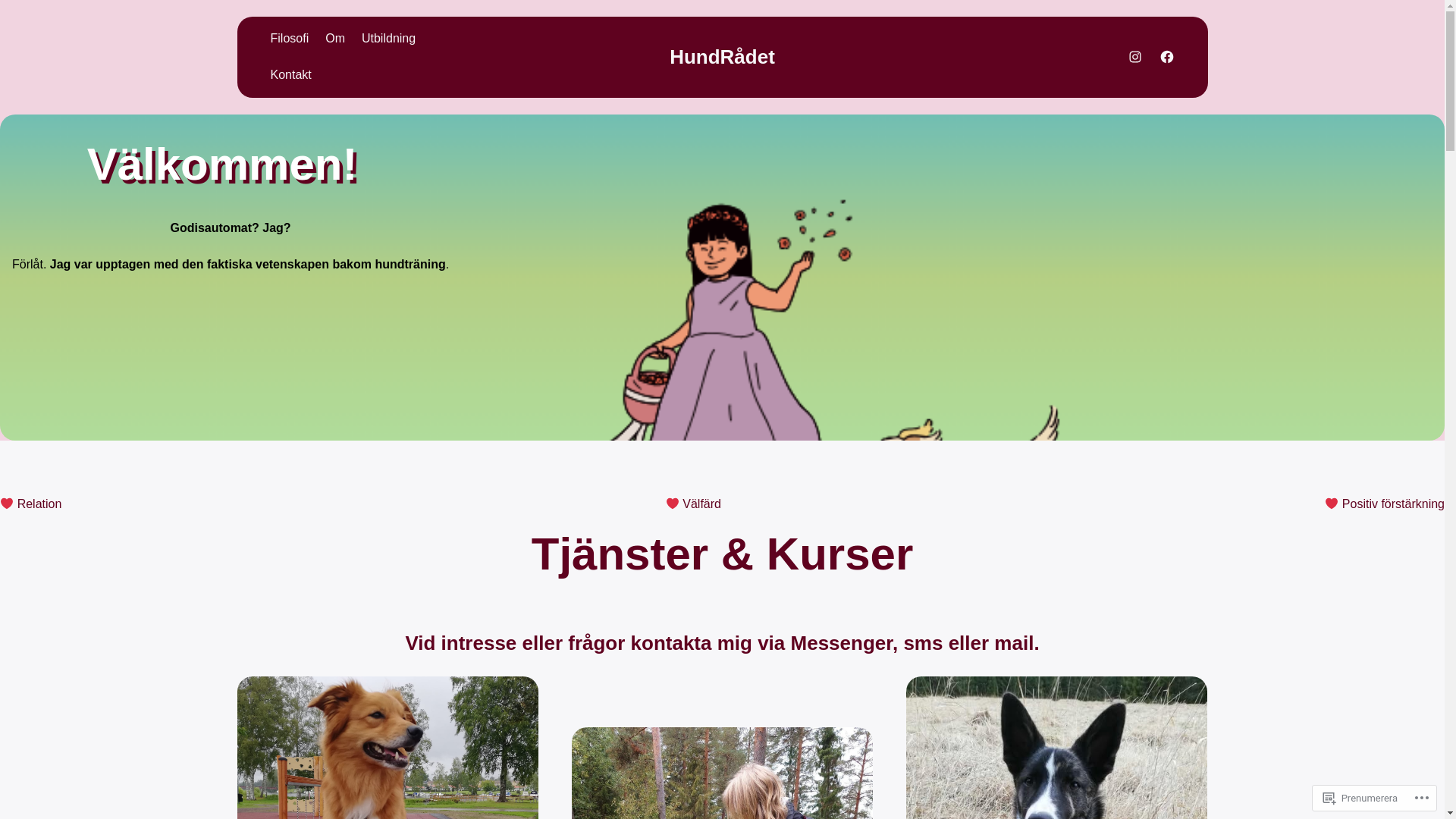 website screenshot of https://hundradet.com/