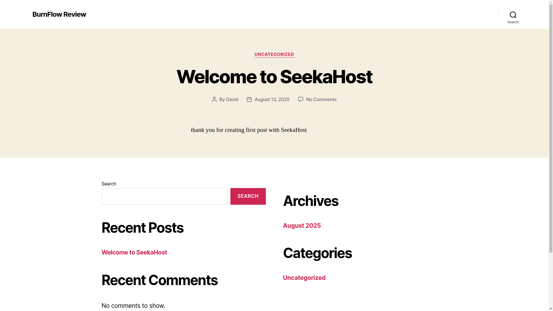 website screenshot of https://burnflowreview.com/