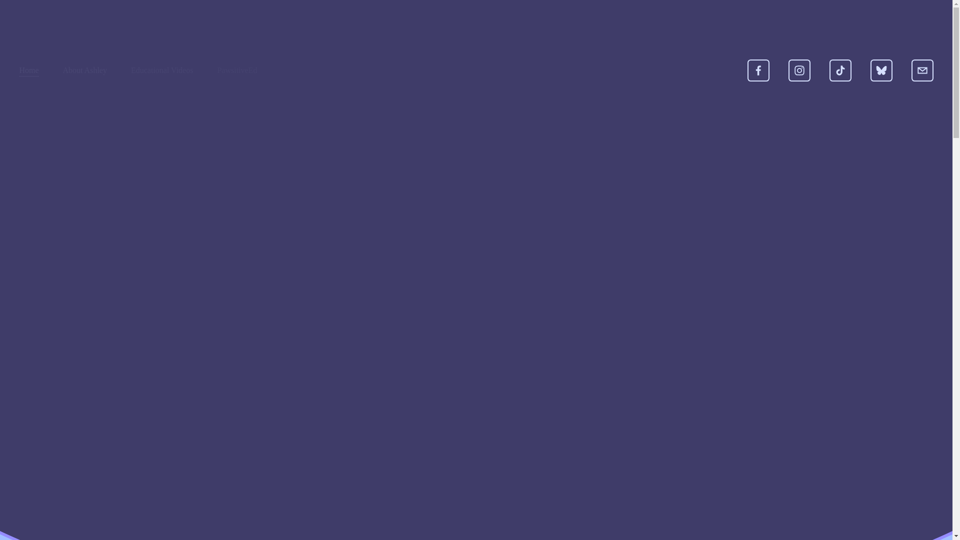 website screenshot of https://thatscrumptiouspoochacademy.com/