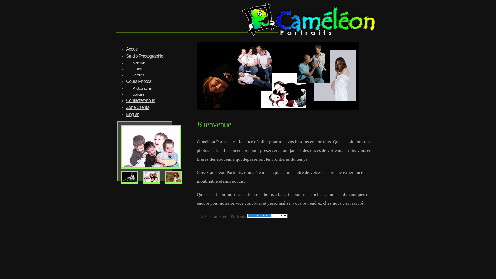 website screenshot of https://jacqueslalondeartisanbois.ca/