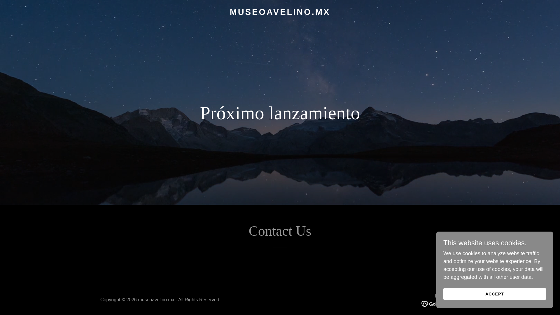 website screenshot of https://museoavelino.mx/