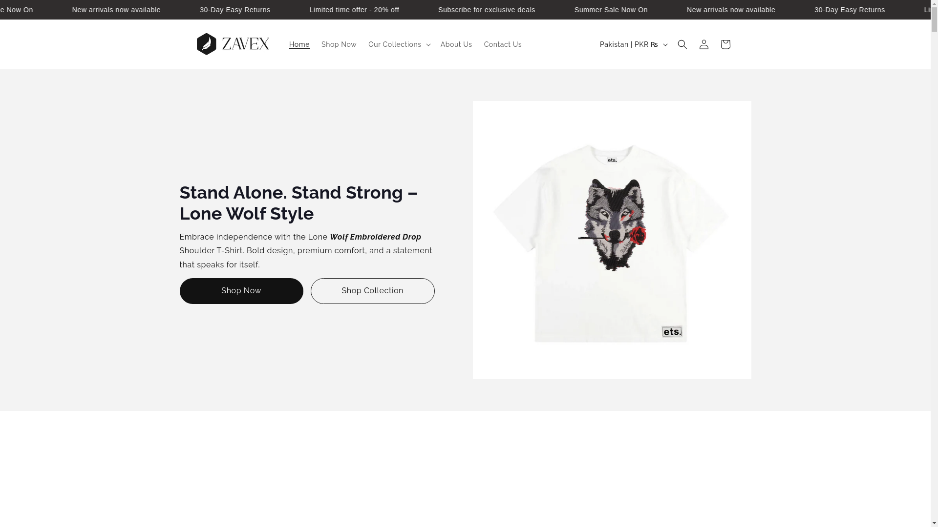 website screenshot of https://zavex.co/